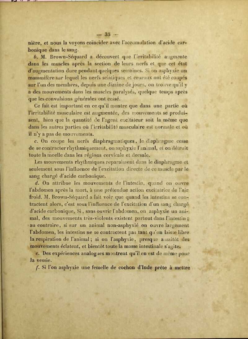 nière, et nous la voyons coïncider avec l’accumulation d’acide car- bonique dans le sang. b. M. Brown-Séquard a découvert que l’irritabilité augmente dans les muscles après la section de leurs nerfs et que cet état d’augmentation dure pendant quelques semaines. Si on asphyxie un mammifère sur lequel les nerfs sciatiques et cruraux ont été coupés sur l’un des membres, depuis une dizaine de jours, on trouve qu’il y a des mouvements dans les muscles paralysés, quelque temps après que les convulsions générales ont cessé. Ce fait est important en ce qu’il montre que dans une partie où l’irritabilité musculaire est augmentée, des mouvements se produi- sent, bien que la quantité de l’agent excitateur soit la même que dans les autres parties où l’irritabilité musculaire est normale et où il n’y a pas de mouvements. c. On coupe les nerfs diaphragmatiques, le diaphragme cesse de se contracter rhythmiquement, on asphyxie l’animal, et on détruit toute la moelle dans les régions cervicale et dorsale. Les mouvements rhythmiques reparaissent dans le diaphragme et seulement sous l’influence de l’excitation directe de ce muscle par le sang chargé d’acide carbonique. cl. On attribue les mouvements de l’intestin, quand on ouvre l’abdomen après la mort, à une prétendue action excitatrice de î’air froid. M. Brown-Séquard a fait voir que quand les intestins se con- tractent alors, c’est sous l’influence de l’excitation d’un sang chargé d’acide carbonique, Si, sans ouvrir l’abdomen, on asphyxie un ani- mal, des mouvements très-violents existent partout dans l’intestin ; ■ au contraire, si sur un animal non-asphyxié on ouvre largement l’abdomen, les intestins ne se contractent pas tant qu’on laisse libre la respiration de l’animal ; si on l’asphyxie, presque aussitôt des mouvements éclatent, et bientôt toute la masse intestinale s’agite. e. Des expériences analogues montrent qu’il en est de même pour la vessie. f. Si l’on asphyxie une femelle de cochon d’Inde prête à mettre