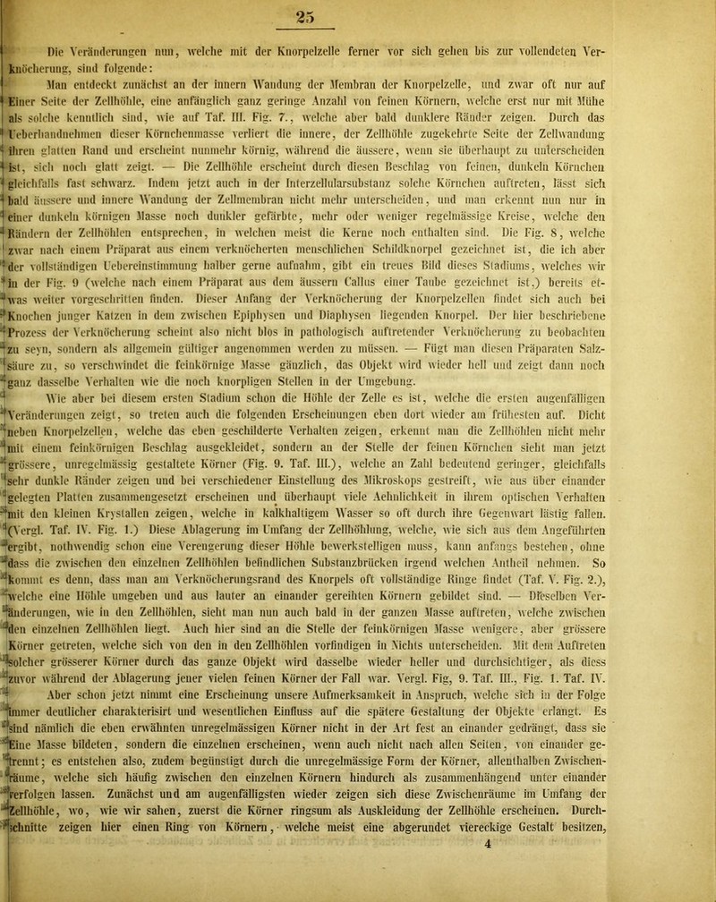 Die Veränderungen nun, welche mit der Knorpelzelle ferner vor sich gehen bis zur vollendeten Ver- knöcherung, sind folgende: Man entdeckt zunächst an der innern Wandung der Membran der Knorpelzelle, und zwar oft nur auf t Einer Seite der Zellhöhle, eine anfänglich ganz geringe Anzahl von feinen Körnern, welche erst nur mit Mühe als solche kenntlich sind, wie auf Taf. III. Fig. 7., welche aber bald dunklere Ränder zeigen. Durch das :| l'eberhandnehmen dieser Körnchenmasse verliert die innere, der Zellhöhle zugekehrte Seite der Zellwandung i ihren glatten Rand und erscheint nunmehr körnig, während die äussere, wenn sie überhaupt zu unlerscheiden 4 ist, sich noch glatt zeigt. — Die Zellhöhle erscheint durch diesen Beschlag von feinen, dunkeln Körnchen ’j gleichfalls fast schwarz. Indem jetzt auch in der Interzellularsubstanz solche Körnchen auftreten, lässt sich 1 bald äussere und innere Wandung der Zellmembran nicht mehr unterscheiden, und man erkennt nun nur in 'einer dunkeln körnigen Masse noch dunkler gefärbte, mehr oder weniger regelmässige Kreise, welche den 4 Rändern der Zellhöhlen entsprechen, in welchen meist die Kerne noch enthalten sind. Die Fig. 8, welche I zwar nach einem Präparat aus einem verknöcherten menschlichen Schildknorpel gezeichnet ist, die ich aber :der vollständigen Uebereinstimmung halber gerne aufnahm, gibt ein treues Bild dieses Stadiums, welches wir =fin der Fig. 9 (welche nach einem Präparat aus dem äussern Callas einer Taube gezeichnet ist,) bereits et- J was weiter vorgeschritten finden. Dieser Anfang der Verknöcherung der Knorpelzellen findet sich auch bei Knochen junger Katzen in dem zwischen Epiphysen und Diaphysen liegenden Knorpel. Der hier beschriebene ; Prozess der Verknöcherung scheint also nicht blos in pathologisch auftretender Verknöcherung zu beobachten zu seyn, sondern als allgemein gültiger angenommen werden zu müssen. — Fügt man diesen Präparaten Salz- Säure zu, so verschwindet die feinkörnige Masse gänzlich, das Objekt wird wieder hell und zeigt dann noch 'ganz dasselbe Verhalten wie die noch knorpligen Stellen in der Umgebung. Wie aber bei diesem ersten Stadium schon die Höhle der Zelle es ist, welche die ersten augenfälligen Veränderungen zeigt, so treten auch die folgenden Erscheinungen eben dort wieder am frühesten auf. Dicht ‘neben Knorpelzellen, welche das eben geschilderte Verhalten zeigen, erkennt man die Zellhöhlen nicht mehr 4mit einem feinkörnigen Beschlag ausgekleidet, sondern an der Stelle der feinen Körnchen sieht man jetzt “•grössere, unregelmässig gestaltete Körner (Fig. 9. Taf. III.), welche an Zahl bedeutend geringer, gleichfalls 'sehr dunkle Ränder zeigen und bei verschiedener Einstellung des Mikroskops gestreift, wie aus über einander 'gelegten Platten zusammengesetzt erscheinen und überhaupt viele Aehnlichkeit in ihrem optischen Verhalten 'mit den kleinen Krystallen zeigen, welche in kalkhaltigem Wasser so oft durch ihre Gegenwart lästig fallen. ‘(Vergl. Taf. IV. Fig. 1.) Diese Ablagerung im Umfang der Zellhöhlung, welche, A\ie sich aus dem Angeführten ^ergibt, nothwendig schon eine Verengerung dieser Höhle bewerkstelligen muss, kann anfangs bestehen, ohne dass die ZAvischen den einzelnen Zellhöhlen befindlichen Substanzbrücken irgend Avelchen Antheil nehmen. So 'kommt es denn, dass man am Verknöcherungsrand des Knorpels oft vollständige Ringe findet (Taf. V. Fig. 2.), 'welche eine Höhle umgeben und aus lauter an einander gereihten Körnern gebildet sind. — Dieselben Ver- wunderungen, A\ie in den Zellhöhlen, sieht man nun auch bald in der ganzen Masse auftreten, Avelche ZAvischen den einzelnen Zellhöhlen liegt. Auch hier sind an die Stelle der feinkörnigen Masse Avenigere, aber grössere Körner getreten, Avelche sich von den in den Zellhöhlen vorfindigen in Vichts unterscheiden. Mit dem Auftreten Solcher grösserer Körner durch das ganze Objekt wird dasselbe Avieder heller und durchsichtiger, als diess 'zuvor aa ährend der Ablagerung jener vielen feinen Körnerder Fall Avar. Vergl. Fig, 9. Taf. III., Fig. 1. Taf. IV. Aber schon jetzt nimmt eine Erscheinung unsere Aufmerksamkeit in Anspruch, Avelche sich in der Folge Ammer deutlicher charakterisirt und Avesentlichen Einfluss auf die spätere Gestaltung der Objekte erlangt. Es ^sind nämlich die eben erwähnten unregelmässigen Körner nicht in der Art fest an einander gedrängt, dass sie 'Eine Masse bildeten, sondern die einzelnen erscheinen, Avenn auch nicht nach allen Seiten, von einander ge- 'Vrennt; es entstehen also, zudem begünstigt durch die unregelmässige Form der Körner, allenthalben ZAvischen- ^räume, Avelche sich häufig ZAvischen den einzelnen Körnern hindurch als zusammenhängend unter einander 'Verfolgen lassen. Zunächst und am augenfälligsten Avieder zeigen sich diese ZAvischenräume im Umfang der “4zellhölile, avo, Avie Avir sahen, zuerst die Körner ringsum als Auskleidung der Zellhöhle erscheinen. Durch- schnitte zeigen hier einen Ring von Körnern, Avelche meist eine abgerundet viereckige Gestalt besitzen, 4