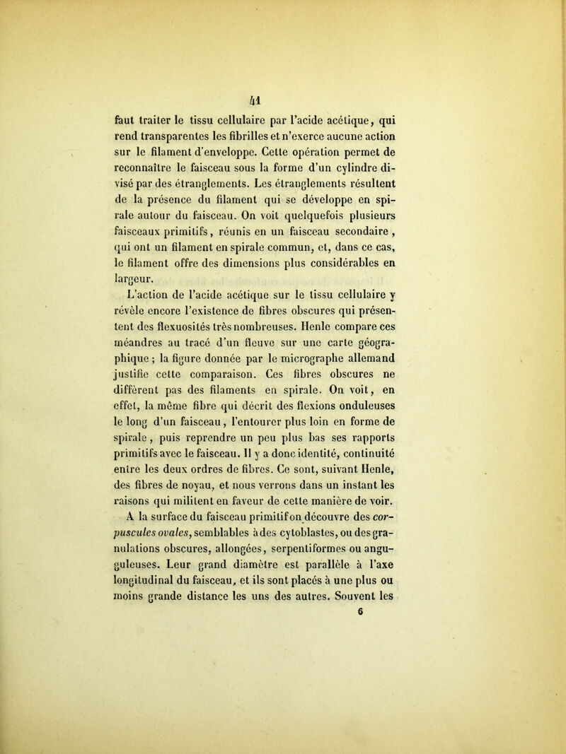 kl faut traiter le tissu cellulaire par l’acide acétique, qui rend transparentes les fibrilles et n’exerce aucune action sur le filament d’enveloppe. Celle opération permet de reconnaître le faisceau sous la forme d’un cylindre di- visé par des étranglements. Les étranglements résultent de la présence du filament qui se développe en spi- rale autour du faisceau. On voit quelquefois plusieurs faisceaux primitifs, réunis en un faisceau secondaire , qui ont un filament en spirale commun, et, dans ce cas, le filament offre des dimensions plus considérables en largeur. L’action de l’acide acétique sur le tissu cellulaire y révèle encore l’existence de fibres obscures qui présen- tent des flexuosités très nombreuses. Henle compare ces méandres au tracé d’un fleuve sur une carte géogra- phique ; la figure donnée par le micrographe allemand justifie cette comparaison. Ces fibres obscures ne diffèrent pas des filaments en spirale. On voit, en effet, la même fibre qui décrit des flexions onduleuses le long d’un faisceau, l’entourer plus loin en forme de spirale, puis reprendre un peu plus bas ses rapports primitifs avec le faisceau. 11 y a donc identité, continuité entre les deux ordres de fibres. Ce sont, suivant Ilenle, des fibres de noyau, et nous verrons dans un instant les raisons qui militent en faveur de cette manière de voir. A la surface du faisceau primilifon découvre des cor- puscules ovales, semblables àdes cytoblastes, ou des gra- nulations obscures, allongées, serpentiformes ouangu- guleuses. Leur grand diamètre est parallèle à l’axe longitudinal du faisceau, et ils sont placés à une plus ou moins grande distance les uns des autres. Souvent les 6