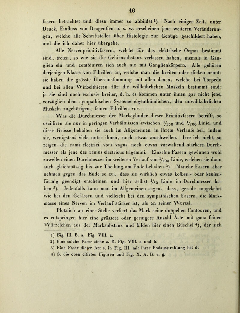 fasern betrachtet und diese immer so abbildetJ). Nach einiger Zeit, unter Druck, Einfluss von Reagentien u. s. w. erscheinen jene weiteren Veränderun- gen, welche alle Schriftsteller über Histologie zur Genüge geschildert haben, und die ich daher hier übergehe. Alle Nervenprimitivfasern, welche für das elektrische Organ bestimmt sind, treten, so wie sie die Gehirnsubstanz verlassen haben, niemals in Gan- glien ein und combiniren sich auch nie mit Ganglienkörpern. Alle gehören derjenigen Klasse von Fibrillen an, welche man die breiten oder dicken nennt; sie haben die grösste Übereinstimmung mit allen denen, welche bei Torpedo und bei allen Wirbelthieren für die willkührliehen Muskeln bestimmt sind; ja sie sind noch exclusiv breiter, d. h. es kommen unter ihnen gar nicht jene, vorzüglich dem sympathischen Systeme eigenthümlichen, den unwillkührlichen Muskeln zugehörigen, feinen Fibrillen vor. Was die Dui'chmesser der Markcylinder dieser Primilivfasern betrifft, so oscilliren sie nur in geringen Verhältnissen zwischen yX50 und y2oo Linie, und diese Grösse behalten sie auch im Allgemeinen in ihrem Verlaufe bei, indem sie, wenigstens viele unter ihnen, noch etwas anschwellen. Irre ich nicht, so zeigen die rami electrici vom vagus noch etwas vorwaltend stärkere Durch- messer als jene des ramus electricus trigemini. Einzelne Fasern gewinnen wohl zuweilen einen Durchmesser im weiteren Verlauf von yioo Linie, welchen sie dann auch gleichmässig bis zur Theilung am Ende behalten 2). Manche Fasern aber nehmen gegen das Ende so zu, dass sie wirklich etwas kolben - oder keulen- förmig geendigt erscheinen und hier selbst ygo Linie im Durchmesser ha- ben 3). Jedenfalls kann man im Allgemeinen sagen, dass, gerade umgekehrt wie bei den Gefässen und vielleicht bei den sympathischen Fasern, die Mark- masse eines Nerven im Verlauf stärker ist, als an seiner Wurzel. Plötzlich an einer Stelle verliert das Mark seine doppelten Contouren, und es entspringen hier eine grössere oder geringere Anzahl Aste mit ganz feinen Würzelchen aus der Marksubstanz und bilden hier einen Büschel 4), der sich 1) Fig. III. B. a. Fig. VIII. a. 2) Eine solche Faser siehe z. B. Fig. VIII. a und b. 3) Eine Faser dieser Art s. in Fig. III. mit ihrer Endausstrahlung bei d. 4) S. die oben cilirten Figuren und Fig. X. A. B. e. g.