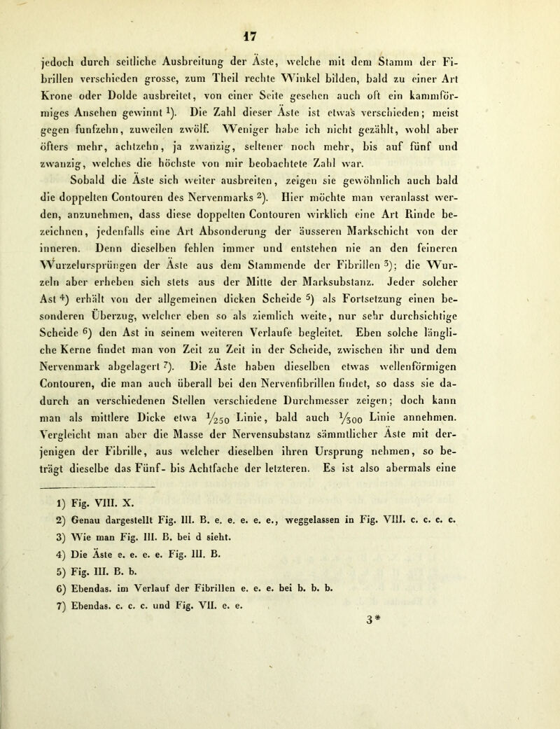 jedoch durch seitliche Ausbreitung der Äste, welche mit dem Stamm der Fi- brillen verschieden grosse, zum Theil rechte Winkel bilden, bald zu einer Art Krone oder Dolde ausbreitet, von einer Seite gesellen auch oft ein kammför- miges Ansehen gewinnt -1). Die Zahl dieser Aste ist etwas verschieden; meist gegen fünfzehn, zuweilen zwölf. Weniger habe ich nicht gezählt, wohl aber öfters mehr, achtzehn, ja zwanzig, seltener noch mehr, bis auf fünf und zwanzig, welches die höchste von mir beobachtete Zahl war. Sobald die Aste sich weiter ausbreiten, zeigen sie gewöhnlich auch bald die doppelten Contouren des Nervenmarks 2). Hier möchte man veranlasst wer- den, anzunehmen, dass diese doppelten Contouren wirklich eine Art Piinde be- zeichnen, jedenfalls eine Art Absonderung der äusseren Markschicht von der inneren. Denn dieselben fehlen immer und entstehen nie an den feineren Wurzelursprüngen der Aste aus dem Stammende der Fibrillen 3); die Wur- zeln aber erheben sich stets aus der Mitte der Marksubstanz. Jeder solcher Ast 4) erhält von der allgemeinen dicken Scheide 5) als Fortsetzung einen be- sonderen Überzug, welcher eben so als ziemlich weite, nur sehr durchsichtige Scheide 6) den Ast in seinem weiteren Verlaufe begleitet. Eben solche längli- che Kerne findet man von Zeit zu Zeit in der Scheide, zwischen ihr und dem Nervenmark abgelagert 7). Die Aste haben dieselben etwas wellenförmigen Contouren, die man auch überall bei den Nervenfibrillen findet, so dass sie da- durch an verschiedenen Stellen verschiedene Durchmesser zeigen; doch kann man als mittlere Dicke etwa ^250 Linie, bald auch l/$oo Linie annehmen. Vergleicht man aber die Masse der Nervensubstanz sämmtlicher Aste mit der- jenigen der Fibrille, aus welcher dieselben ihren Ursprung nehmen, so be- trägt dieselbe das Fünf- bis Achtfache der letzteren. Es ist also abermals eine 1) Fig. VIII. X. 2) Genau dargestellt Fig. III. B. e. e. e. e. e., weggelassen in Fig. VIII. c. c. c. c. 3) Wie man Fig. 111. B. bei d sieht. 4) Die Aste e. e. e. e. Fig. 111. B. 5) Fig. III. B. b. 6) Ebendas, im Verlauf der Fibrillen e. e. e. bei b. b. b. 7) Ebendas, c. c. c. und Fig. VII. e. e. 3*