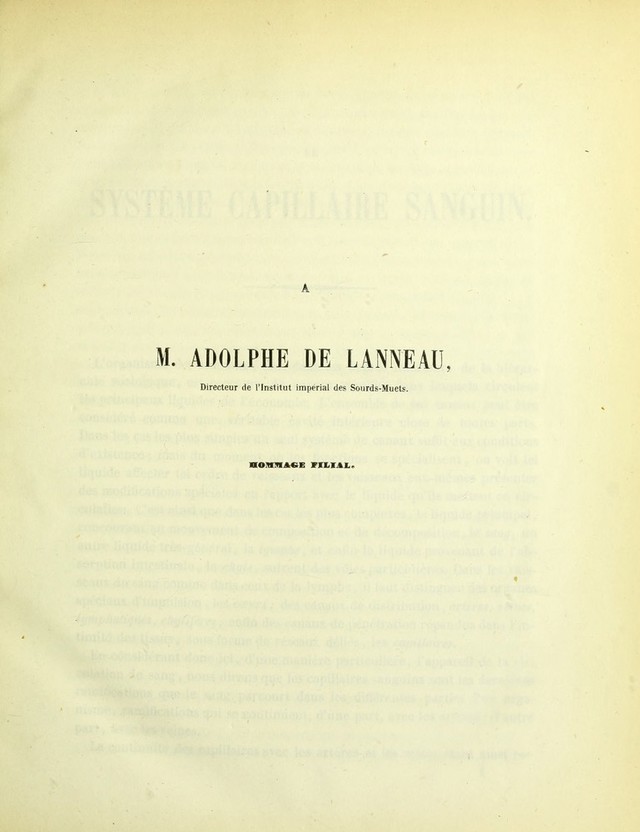digitised image 3