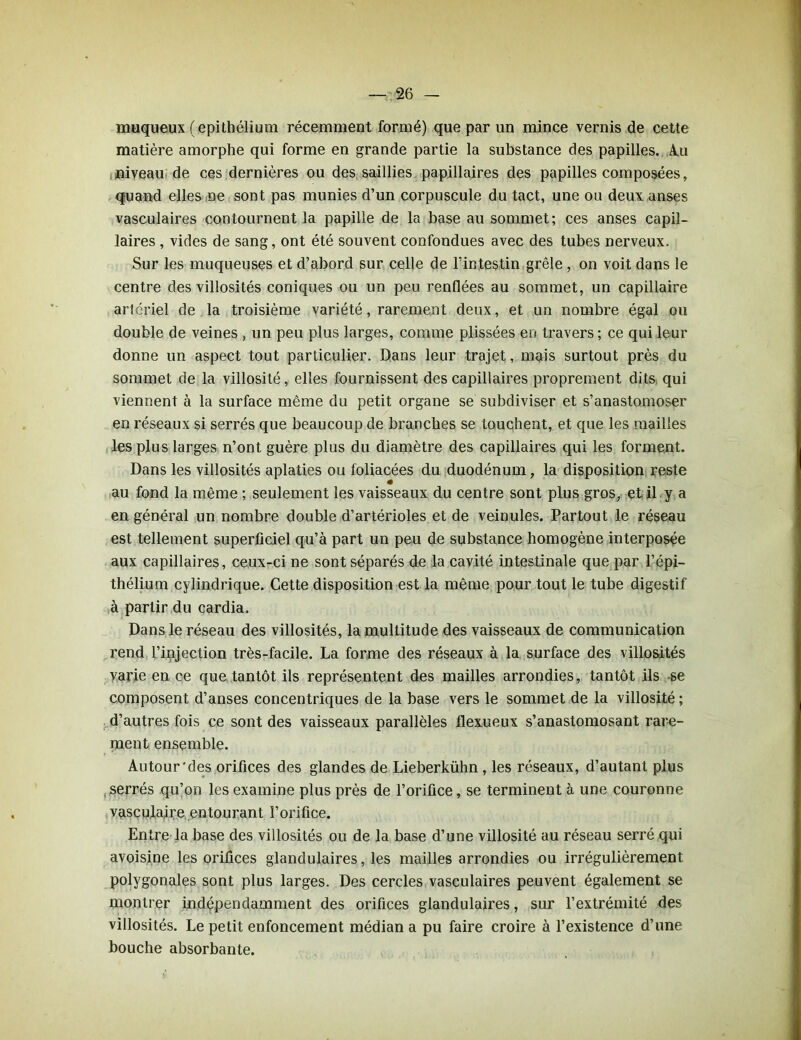 muqueux (épithélium récemment formé) que par un mince vernis de cette matière amorphe qui forme en grande partie la substance des papilles. Au niveau de ces dernières ou des saillies papillaires des papilles composées, quand elles ne sont pas munies d’un corpuscule du tact, une ou deux anses vasculaires contournent la papille de la base au sommet; ces anses capil- laires , vides de sang, ont été souvent confondues avec des tubes nerveux. Sur les muqueuses et d’abord sur celle de l’intestin grêle , on voit dans le centre des villosités coniques ou un peu renflées au sommet, un capillaire artériel de la troisième variété, rarement deux, et un nombre égal ou double de veines , un peu plus larges, comme plissées en travers ; ce qui leur donne un aspect tout particulier. Dans leur trajet, mais surtout près du sommet de la villosité, elles fournissent des capillaires proprement dits qui viennent à la surface même du petit organe se subdiviser et s’anastomoser en réseaux si serrés que beaucoup de branches se touchent, et que les mailles les plus larges n’ont guère plus du diamètre des capillaires qui les forment. Dans les villosités aplaties ou foliacées du duodénum, la disposition reste au fond la même ; seulement les vaisseaux du centre sont plus gros, et il y a en général un nombre double d’artérioles et de veinules. Partout le réseau est tellement superficiel qu’à part un peu de substance homogène interposée aux capillaires, ceux-ci ne sont séparés de la cavité intestinale que par l’épi- thélium cylindrique. Cette disposition est la même pour tout le tube digestif à partir du cardia. Dans le réseau des villosités, la multitude des vaisseaux de communication rend l’injection très-facile. La forme des réseaux à la surface des villosités varie en ce que tantôt ils représentent des mailles arrondies, tantôt ils 6e composent d’anses concentriques de la base vers le sommet de la villosité ; d’autres fois ce sont des vaisseaux parallèles flexueux s’anastomosant rare- ment ensemble. Autour'des orifices des glandes de Lieberkühn , les réseaux, d’autant plus serrés qu’on les examine plus près de l’orifice, se terminent à une couronne vasculaire entourant l’orifice. Entre la base des villosités ou de la base d’une villosité au réseau serré qui avoisine les orifices glandulaires, les mailles arrondies ou irrégulièrement polygonales sont plus larges. Des cercles vasculaires peuvent également se montrer indépendamment des orifices glandulaires, sur l’extrémité des villosités. Le petit enfoncement médian a pu faire croire à l’existence d’une bouche absorbante.