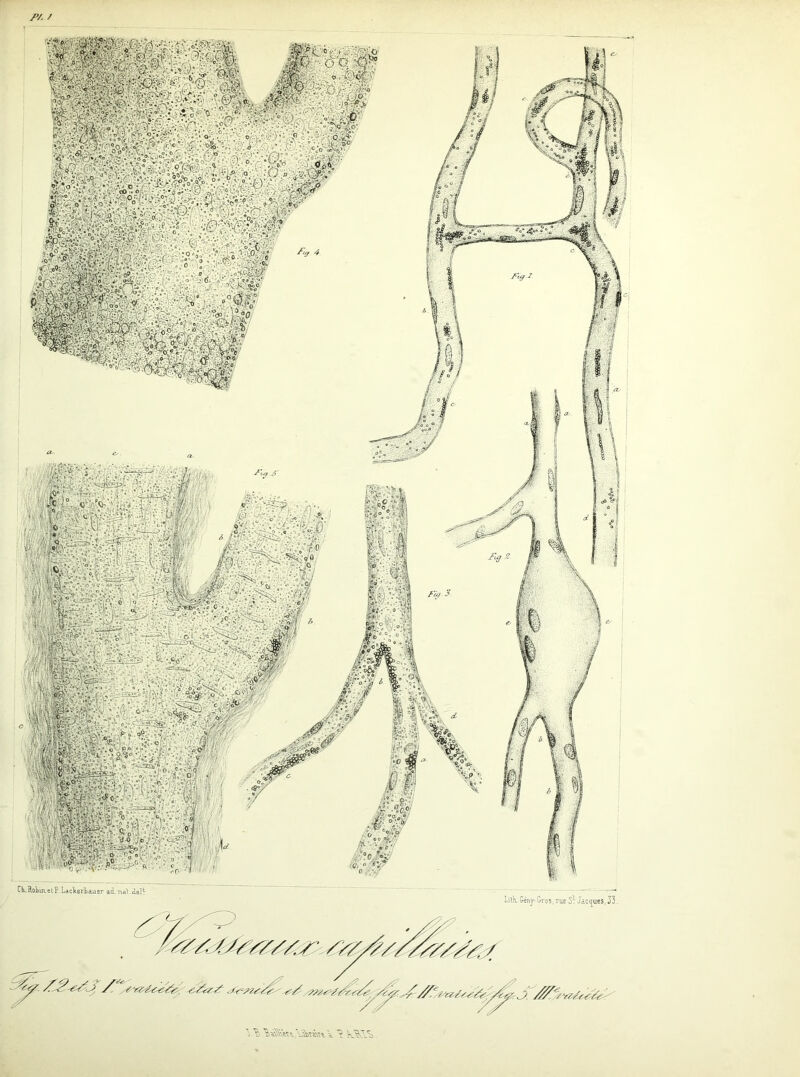 P/. / ©* -. *V •: ■>. ü . 0 . • CO O , • - ‘.-•'o . ;:V}-'°i c„ - aV:‘ •-v : ■®° o Vas.* y CLRoLiaetP.Lacl^erbàuer ai nat.ieH LilK. Gény-Gros, rue Jacques, 33.