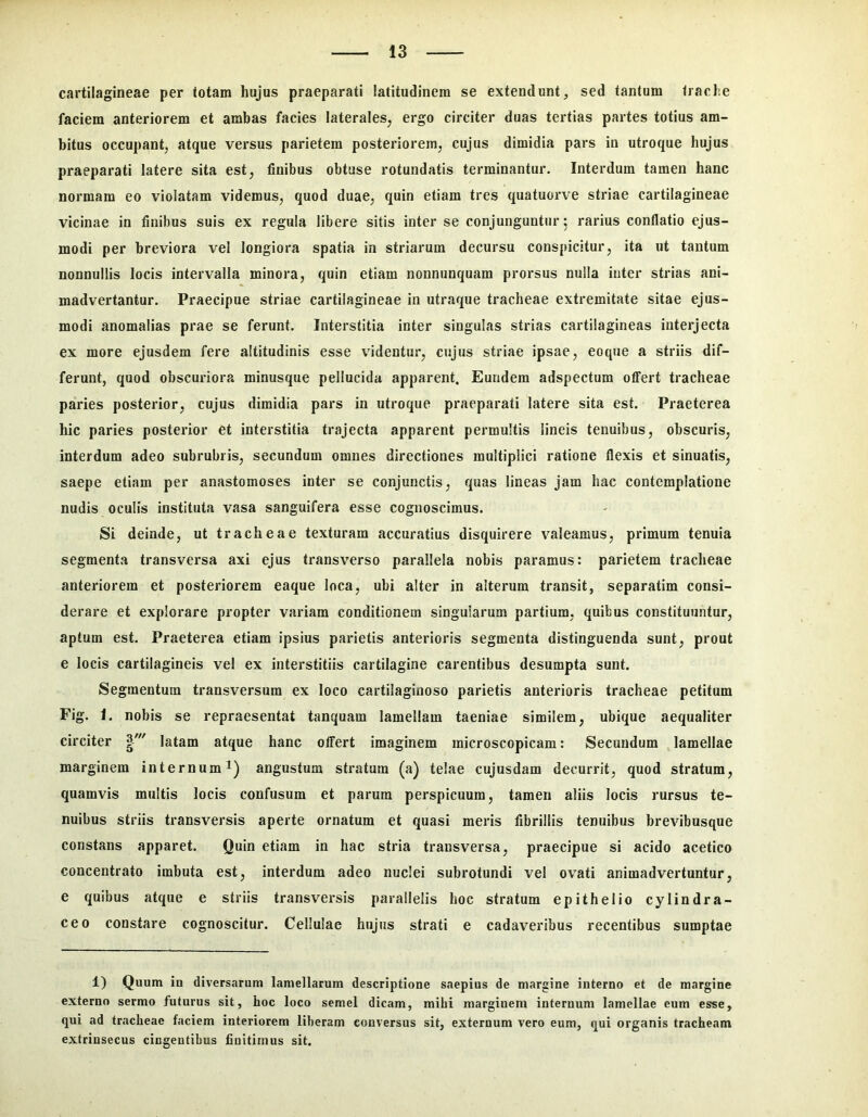 cartilagineae per totam hujus praeparati latitudinem se extendunt, sed tantum trache faciem anteriorem et ambas facies laterales, ergo circiter duas tertias partes totius am- bitus occupant, atque versus parietem posteriorem, cujus dimidia pars in utroque hujus praeparati latere sita est, finibus obtuse rotundatis terminantur. Interdum tamen hanc normam eo violatam videmus, quod duae, quin etiam tres quatuorve striae cartilagineae vicinae in finibus suis ex regula libere sitis inter se conjunguntur 5 rarius conflatio ejus- modi per breviora vel longiora spatia in striarum decursu conspicitur, ita ut tantum nonnullis locis intervalla minora, quin etiam nonnunquam prorsus nulla inter strias ani- madvertantur. Praecipue striae cartilagineae in utraque tracheae extremitate sitae ejus- modi anomalias prae se ferunt. Interstitia inter singulas strias cartilagineas interjecta ex more ejusdem fere altitudinis esse videntur, cujus striae ipsae, eoqiie a striis dif- ferunt, quod obscuriora minusque pellucida apparent. Eundem adspectum offert tracheae paries posterior, cujus dimidia pars in utroque praeparati latere sita est. Praeterea hic paries postei’ior et interstitia trajecta apparent permultis lineis tenuibus, obscuris, interdum adeo subrubris, secundum omnes directiones multiplici ratione flexis et sinuatis, saepe etiam per anastomoses inter se conjunctis, quas lineas jam hac contemplatione nudis oculis instituta vasa sanguifera esse cognoscimus. Si deinde, ut tracheae texturam accuratius disquirere valeamus, primum tenuia segmenta transversa axi ejus transverso parallela nobis paramus: parietem tracheae anteriorem et posteriorem eaque loca, ubi alter in alterum transit, separatim consi- derare et explorare propter variam conditionem singularum partium, quibus constituuntur, aptum est. Praeterea etiam ipsius parietis anterioris segmenta distinguenda sunt, prout e locis cartilagineis vel ex interstitiis cartilagine carentibus desumpta sunt. Segmentum transversum ex loco cartilaginoso parietis anterioris tracheae petitum Fig. 1. nobis se repraesentat tanquam lamellam taeniae similem, ubique aequaliter circiter latam atque hanc olfert imaginem microscopicam: Secundum lamellae marginem internum i) angustum stratum (a) telae cujusdam decurrit, quod stratum, quamvis multis locis confusum et parum perspicuum, tamen aliis locis rursus te- nuibus striis transversis aperte ornatum et quasi meris fibrillis tenuibus brevibusque constans apparet. Quin etiam in hac stria transversa, praecipue si acido acetico concentrato imbuta est, interdum adeo nuclei subrotundi vel ovati animadvertuntur, e quibus atque e striis transversis parallelis hoc stratum epithelio cylindra- ceo constare cognoscitur. Cellulae hujus strati e cadaveribus recentibus sumptae 1) Quum in diversarum lamellarum descriptione saepius de margine interno et de margine externo sermo futurus sit, hoc loco semel dicam, mihi marginem internum lamellae eum esse, qui ad tr.icheae faciem interiorem liberam conversus sit, externum vero eum, qui organis tracheam extrinsecus cingentibus finitimus sit.