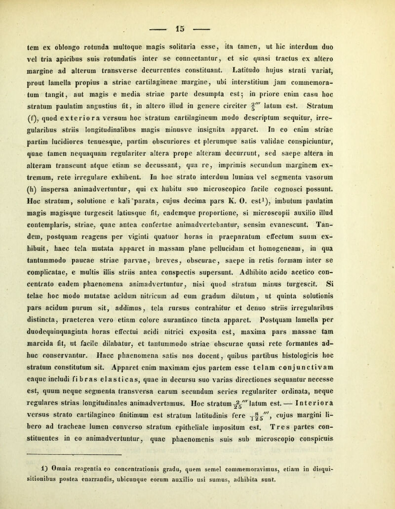 tem ex oblongo rotunda multoque magis solitaria esse, ita tamen, ut hic interdum duo vel tria apicibus suis rotundatis inter se connectantur, et sic quasi tractus ex altero margine ad alterum transverse decurrentes constituant. Latitudo hujus strati variat, prout lamella propius a striae cartilagineae margine, ubi interstitium jam commemora- tum tangit, aut magis e media striae parte desumpta est 5 in priore enim casu hoc stratum paulatim angustius fit, in altero illud in genere circiter latum est. Stratum (f), quod exterio r a versum hoc stratum cartilagineum modo descriptum sequitur, irre- gularibus striis longitudinalibus magis minusve insignita apparet. In eo enim striae partim lucidiores tenuesque, partim obscm*iores et plerumque satis validae conspiciuntur, quae tamen nequaquam regulariter altera prope alteram decurrunt, sed saepe altera in alteram transeunt atque etiam se decussant, qua re, imprimis secundum marginem ex- tremum, rete irregulare exhibent. In hoc strato interdum lumina vel segmenta vasorum (h) inspersa animadvertuntur, qui ex habitu suo microscopico facile cognosci possunt. Hoc stratum, solutione e kali‘parata, cujus decima pars K. 0. est^), imbutum paulatim magis magisque turgescit latiusque fit, eademque proportione, si microscopii auxilio illud contemplaris, striae, quae antea confertae animadvertebantur, sensim evanescunt. Tan- dem, postquam reagens per viginti quatuor horas in praeparatum effectum suum ex- hibuit, haec tela mutata apparet in massam plane pellucidam et homogeneam, in qua tantummodo paucae striae parvae, breves, obscurae, saepe in retis formam inter se complicatae, e multis iliis striis antea conspectis supersunt. Adhibito acido acetico con- centrato eadem phaenomena animadvertuntur, nisi quod stratum minus turgescit. Si telae hoc modo mutatae acidum nitricum ad eum gradum dilutum, ut quinta solutionis pars acidum purum sit, addimus, tela rursus contrahitur et denuo striis irregularibus distincta, praeterea vero etiam colore aurantiaco tincta apparet. Postquam lamella per duodequinquaginta horas effectui acidi nitrici exposita est, maxima pars massae tam marcida fit, ut facile dilabatur, et tantummodo striae obscurae quasi rete formantes ad- huc conservantur. Haec phaenomena satis nos docent, quibus partibus histologicis hoc stratum constitutum sit. Apparet enim maximam ejus partem esse telam conjunctivam eaque includi fibras elasticas, quae in decursu suo varias directiones sequantur necesse est, quum neque segmenta transversa earum secundum series regulariter ordinata, neque regulares strias longitudinales animadvertamus. Hoc stratum latum est.— Interiora versus strato cartilagineo finitimum est stratum latitudinis fere cujus margini li- bero ad tracheae lumen converso stratum epitheliale impositum est. Tres partes con- stituentes in eo animadvertuntur, quae phaenomenis suis sub microscopio conspicuis 1) Omnia reagentia eo concentrationis gradu, quem semel commemoravimus, etiam in disqui- sitionibus postea enarrandis, ubicunque eorum auxilio usi sumus, adhibita sunt.