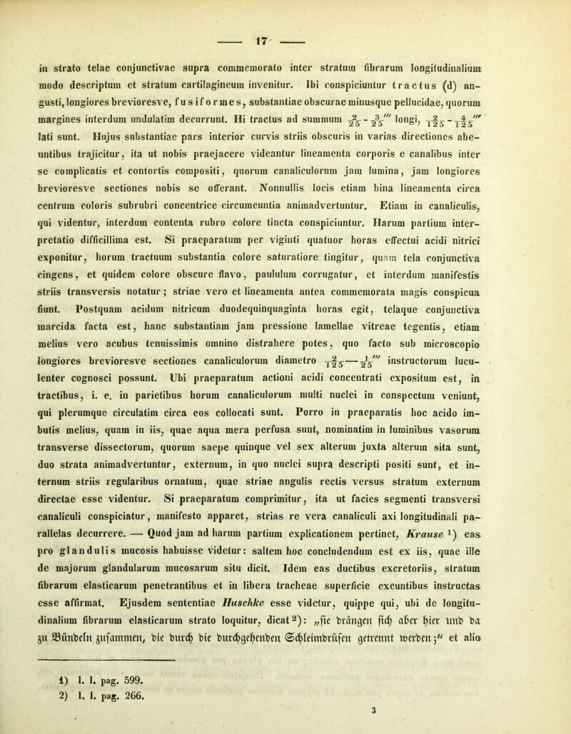 in strato telae conjunctivae supra commemorato inter stratum fibrarum longitudinalium modo descriptum et stratum cartilagineum invenitur. Ibi conspiciuntur tractus (d) an- gusti, longiores brevioresve, fusiformes, substantiae obscurae minusque pellucidae, quorum margines interdum undulatim decurrunt. Hi tractus ad summum longi, lati sunt. Hujus substantiae pars interior curvis striis obscuris in varias directiones abe- untibus trajicitur, ita ut nobis praejacere videantur lineamenta corporis e canalibus inter se complicatis et contortis compositi, quorum canaliculorum jam lumina, jam longiores brevioresve sectiones nobis se offerant. Nonnullis locis etiam bina lineamenta circa centrum coloris subrubri concentrice circumeuntia animadvertuntur. Etiam in canaliculis, qui videntur, interdum contenta rubro colore tincta conspiciuntur. Harum partium inter- pretatio difficillima est. Si praeparatum per viginti quatuor horas effectui acidi nitrici exponitur, horum tractuum substantia colore saturatiore tingitur, quam tela conjunctiva cingens, et quidem colore obscure flavo, paululum corrugatur, et interdum manifestis striis transversis notatur; striae vero et lineamenta antea commemorata magis conspicua fiunt. Postquam acidum nitricum duodequinquaginta horas egit, telaque conjunctiva marcida facta est, hanc substantiam jam pressione lamellae vitreae tegentis, etiam melius vero acubus tenuissimis omnino distrahere potes, quo facto sub microscopio longiores brevioresve sectiones canaliculorum diametro instructorum lucu- lenter cognosci possunt. Ubi praeparatum actioni acidi concentrati expositum est, in , tractibus, i. e. in parietibus horum canaliculorum multi nuclei in conspectura veniunt, qui plerumque circulatim circa eos collocati sunt. Porro in praeparatis hoc acido im- butis melius, quam in iis, quae aqua mera perfusa sunt, nominatim in luminibus vasorum transverse dissectorum, quorum saepe quinque vel sex alterum juxta alterum sita sunt, duo strata animadvertuntur, externum, in quo nuclei supra descripti positi sunt, et in- ternum striis regularibus ornatum, quae striae angulis rectis versus stratum externum directae esse videntur. Si praeparatum comprimitur, ita ut facies segmenti transversi canaliculi conspiciatur, manifesto apparet, strias re vera canaliculi axi longitudinali pa- rallelas decurrere. — Quod jam ad harum partium explicationem pertinet, Krause^^ eas pro glandulis mucosis habuisse videtur: saltem hoc concludendum est ex iis, quae ille de majorum glandularum mucosarum situ dicit. Idem eas ductibus excretoriis, stratum fibrarum elasticarum penetrantibus et in libera tracheae superficie exeuntibus instructas esse affirmat. Ejusdem sententiae Huschke esse videtur, quippe qui, ubi de longitu- dinalium fibrarum elasticarum strato loquitur, dicat 2): „[{e bvdugen fi(^ abcr '^ier imb ju 93unt)cln §ufanimen, t>ie feuv(^ bic buvc^gel^enben S^Ieimbviifen getvennt toerbcn 5'' et alio 1) 1. 1. pag. 599. 2) 1. 1. pag. 266. 3