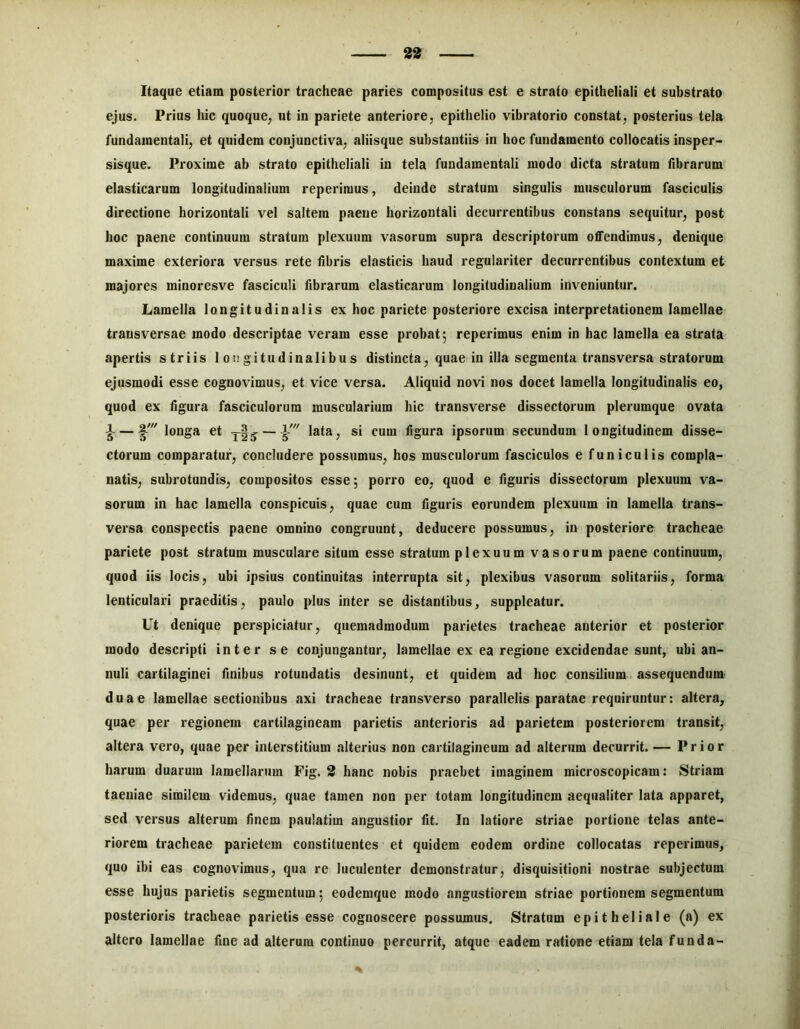 Itaque etiam posterior tracheae paries compositus est e strato epitheliali et substrato ejus. Prius hic quoque^ ut in pariete anteriore, epithelio vibratorio constat, posterius tela fundamentali, et quidem conjunctiva, aliisque substantiis in hoc fundamento collocatis insper- sisque. Proxime ab strato epitheliali in tela fundamentali modo dicta stratum librarum elasticarum longitudinalium reperimus, deinde stratum singulis musculorum fasciculis directione horizontali vel saltem paene horizontali decurrentibus constans sequitur, post hoc paene continuum stratum plexuum vasorum supra descriptorum offendimus, denique maxime exteriora versus rete fibris elasticis haud regulariter decurrentibus contextum et majores minoresve fasciculi librarum elasticarum longitudinalium inveniuntur. Lamella longitudinalis ex hoc pariete posteriore excisa interpretationem lamellae transversae modo descriptae veram esse probat^ reperimus enim in hac lamella ea strata apertis striis longitudinalibus distincta, quae in illa segmenta transversa stratorum ejusmodi esse cognovimus, et vice versa. Aliquid novi nos docet lamella longitudinalis eo, quod ex figura fasciculorum muscularium hic transverse dissectorum plerumque ovata i — I' longa et tIs: “ ¥ lata, si cum figura ipsorum secundum longitudinem disse- ctorum comparatur, concludere possumus, hos musculorum fasciculos e funiculis compla- natis, subrotundis, compositos esse; porro eo, quod e figuris dissectorum plexuum va- sorum in hac lamella conspicuis, quae cum figuris eorundem plexuum in lamella trans- versa conspectis paene omnino congruunt, deducere possumus, in posteriore tracheae pariete post stratum musculare situm esse stratum plexuum vasorum paene continuum, quod iis locis, ubi ipsius continuitas interrupta sit, plexibus vasorum solitariis, forma lenticulari praeditis, paulo plus inter se distantibus, suppleatur. Ut denique perspiciatur, quemadmodum parietes tracheae anterior et posterior modo descripti inter se conjungantur, lamellae ex ea regione excidendae sunt, ubi an- nuli cartilaginei finibus rotundatis desinunt, et quidem ad hoc consilium assequendum duae lamellae sectionibus axi tracheae transverso parallelis paratae requiruntur: altera, quae per regionem cartilagineam parietis anterioris ad parietem posteriorem transit, altera vero, quae per interstitium alterius non cartilagineum ad alterum decurrit. — Prior harum duarum lamellarum Fig. 2 hanc nobis praebet imaginem microscopicam: Striam taeniae similem videmus, quae tamen non per totam longitudinem aequaliter lata apparet, sed versus alterum finem paulatim angustior fit. In latiore striae portione telas ante- riorem tracheae parietem constituentes et quidem eodem ordine collocatas reperimus, quo ibi eas cognovimus, qua re luculenter demonstratur, disquisitioni nostrae subjectum esse hujus parietis segmentum; eodemque modo angustiorem striae portionem segmentum posterioris tracheae parietis esse cognoscere possumus. Stratum epitheliale (a) ex altero lamellae fine ad alterum continuo percurrit, atque eadem ratione etiam tela funda-