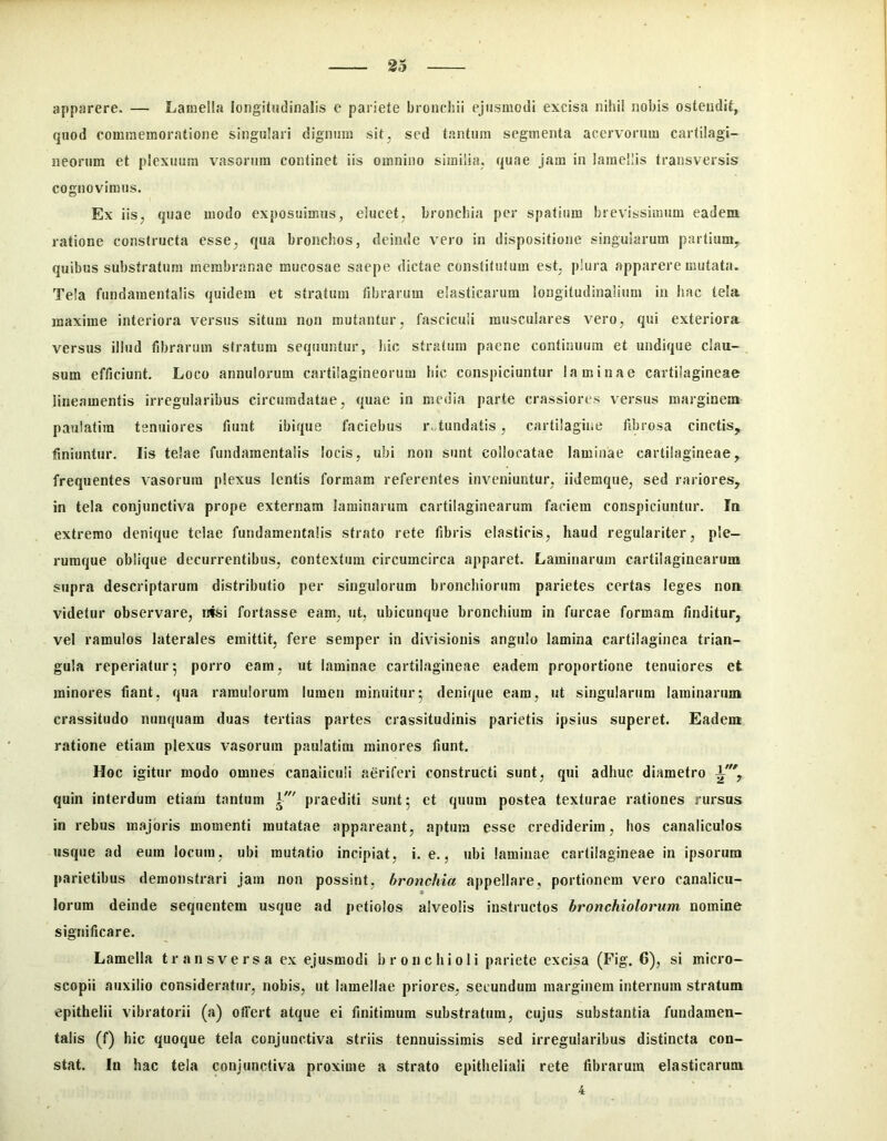 apparere, — LaiueUa longitudinalis e pariete bronchii ejusmodi excisa nihil nobis ostendit, quod commemoratione singulari dignum sit, sed tantum segmenta acervorum cartilagi- neorum et plexuum vasorum continet iis omnino similia, quae jam in lamellis transversis cognovimus. Ex iis, quae modo exposuimus, elucet, bronchia per spatium brevissimum eadem ratione constructa esse, qua bronchos, deinde vero in dispositione singularum partium, quibus substratum membranae mucosae saepe dictae constitutum est, plura apparere mutata. Tela fundamentalis quidem et stratum tibrarum elasticarum longitudinalium in hac tela maxime interiora versus situm non mutantur, fasciculi musculares vero, qui exteriora versus illud fd)rarum stratum sequuntur, hic stratum paene continuum et undique clau- sum efficiunt. Loco annulorum cartilagineorum hic conspiciuntur laminae cartilagineae lineamentis irregularibus circumdatae, quae in media parte crassiores versus marginem paulatim tenuiores fiunt ibique faciebus r.,tundatis, cartilagine fibrosa cinctis, finiuntur. Iis telae fundamentalis locis, ubi non sunt collocatae laminae cartilagineae, frequentes vasorum plexus lentis formam referentes inveniuntur, iidemque, sed rariores, in tela conjunctiva prope externam laminarum cartilaginearum faciem conspiciuntur. Ia extremo denique telae fundamentalis strato rete fibris elasticis, haud regulariter, ple- rumque oblique decurrentibus, contextum circumcirca apparet. Laminarum cartilaginearum supra descriptarum distributio per singulorum bronchiorum parietes certas leges non videtur observare, nfei fortasse eam, ut, ubicunque bronchium in furcae formam finditur, vel ramulos laterales emittit, fere semper in divisionis angulo lamina cartilaginea trian- gula reperiatur*, porro eam, ut laminae cartilagineae eadem proportione tenuiores et minores fiant, qua ramulorum lumen minuitur5 denique eam, ut singularum laminarum crassitudo nunquam duas tertias partes crassitudinis parietis ipsius superet. Eadem ratione etiam plexus vasorum paulatim minores fiunt. Hoc igitur modo omnes canaliculi aeriferi constructi sunt, qui adhuc diametro 1', quin interdum etiam tantum praediti sunt 5 et quum postea texturae rationes rursus in rebus majoris momenti mutatae appareant, aptura esse crediderim, hos canaliculos usque ad eum locum, ubi mutatio incipiat, i. e., ubi laminae cartilagineae in ipsorum parietibus demonstrari jam non possint, bronchia appellare, portionem vero canalicii- 9 Iorum deinde sequentem usque ad petiolos alveolis instructos bronchiolorum nomine significare. Lamella transversa ex ejusmodi bronchioli pariete excisa (Fig. 6), si micro- scopii auxilio consideratur, nobis, ut lamellae priores, secundum marginem internum stratum epithelii vibratorii (a) offert atque ei finitimum substratum, cujus substantia fundamen- talis (f) hic quoque tela conjunctiva striis tennuissimis sed irregularibus distincta con- stat. In hac tela conjunctiva proxime a strato epitheliali rete fibrarum elasticarum 4