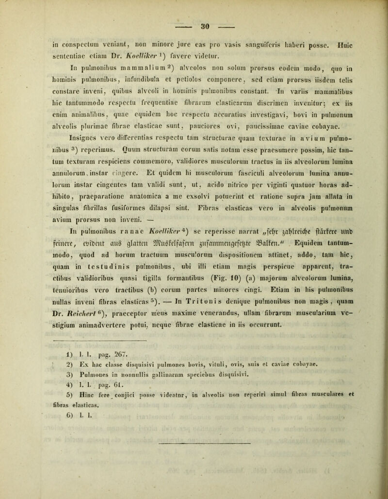 in conspectum veniant, non minore jure eas pro vasis sanguiferis haberi posse. Huic sententiae etiam Dr. KoelUker^) favere videtur. In pulmonibus mammalium 2) alveolos non solum prorsus eodem modo, quo in hominis pulmonibus, infundibula et petiolos componere, sed etiam prorsus iisdem telis constare inveni, quibus alveoli in hominis pulmonibus constant. In viariis mammalibus liic tantummodo respectu frequentiae fibrarum elasticarum discrimen invenitur5 ex iis enim animalibus, quae equidem hoc respectu accuratius inv'estigavu, bovi in pulmonum alveolis plurimae fibrae elasticae sunt , pauciores ovi, paucissimae caviae cobayae. Insignes vero differentias respectu tam structurae quam texturae in avium pulmo- nibus 3) reperimus. Ouum structuram eorum satis notam esse praesumere possim, hic tan- tum texturam respiciens commemoro, validiores musculorum tractus in iis alveolorum lumina annulorura Jnstar cingere. Et quidem hi musculorum fasciculi alveolorum lumina annu- lorum instar cingentes tam validi sunt, ut, acido nitrico per viginti quatuor horas ad- hibito , praeparatione anatomica a me exsohd potuerint et ratione supra jam allata in singulas fibrillas fusiformes dilapsi sint. Fibras elasticas vero in alveolis pulmonum avium prorsus non inveni, — In pulmonibus ranae KoelUkcr^) se reperisse narrat ja^htid)e ftarferc unb fcineie, ebibent au0 glatten 5!)?n0fe[fafem 5u[ammengefc^tc ^alfen. Equidem tantum- modo, quod ad liorura tractuum musculorum dispositionem attinet, addo, tam hic, quam in testudinis pulmonibus, ubi illi etiam magis perspicue apparent, tra- ctibus validioribus quasi tigilla formantibus (Fig. 10) (a) majorum alveolorum lumina, tenuioribus vero tractibus (b) eorum partes minores cingi. Etiam in his pulmonibus nullas inveni fibras elasticas 5). — In Tritonis denique pulmonibus non magis, quam Dr. Reichert^'), praeceptor meus maxime venerandus, ullam fibrarum muscularium ve- stigium animadv^ertere potui, neque fibrae elasticae in iis occurrunt. 1) 1. 1. pag. 267. ! 2) Ex hac classe disquisivi pulmones bovis, vituli, ovis, suis et caviae cobayae. 3) Pulmones in nonnullis gallinarum speciehus disquisivi. 4) 1. 1. pag. Gf. 5) Hinc fere conjici posse videatnr, in alveolis non reperiri si.mul fibras musculares et fibras elasticas. 6) l. 1.
