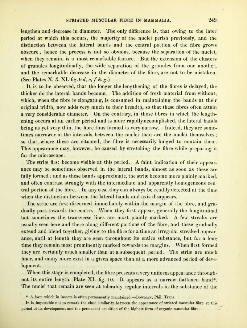 lengthen and decrease in diameter. The only difference is, that owing to the later period at which this occurs, the majority of the nuclei perish previously, and the distinction between the lateral bands and the central portion of the fibre grows obscure; hence the process is not so obvious, because the separation of the nuclei, when they remain, is a most remarkable feature. But the extension of the clusters of granules longitudinally, the wide separation of the granules from one another, and the remarkable decrease in the diameter of the fibre, are not to be mistaken. (See Plates X. & XI. fig. 9 d, e,f & g.) It is to be observed, that the longer the lengthening of the fibres is delayed, the thicker do the lateral bands become. The addition of fresh material from without, which, when the fibre is elongating, is consumed in maintaining the bands at their original width, now adds very much to their breadth, so that these fibres often attain a very considerable diameter. On the contrary, in those fibres in which the length- ening occurs at an earlier period and is more rapidly accomplished, the lateral bands being as yet very thin, the fibre thus formed is very narrow. Indeed, they are some- times narrower in the intervals between the nuclei than are the nuclei themselves; so that, where these are situated, the fibre is necessarily bulged to contain them. This appearance may, however, be caused by stretching the fibre while preparing it for the microscope. The striae first become visible at this period. A faint indication of their appear- ance may be sometimes observed in the lateral bands, almost as soon as these are fully formed ; and as these bands approximate, the striae become more plainly marked, and often contrast strongly with the intermediate and apparently homogeneous cen- tral portion of the fibre. In any case they can always be readily detected at the time when the distinction between the lateral bands and axis disappears. The striae are first discerned immediately within the margin of the fibre, and gra- dually pass towards the centre. When they first appear, generally the longitudinal but sometimes the transverse lines are most plainly marked. A few streaks are usually seen here and there along different portions of the fibre, and these gradually extend and blend together, giving to the fibre for a time an irregular streaked appear- ance, until at length they are seen throughout its entire substance, but for a long time they remain most prominently marked towards the margins. When first formed they are certainly much smaller than at a subsequent period. The striee are much finer, and many more exist in a given space than at a more advanced period of deve- lopment. When this stage is completed, the fibre presents a very uniform appearance through- out its entire length, Plate XI. fig. 10. It appears as a narrow flattened band*. The nuclei that remain are seen at tolerably regular intervals in the substance of the * A form which in insects is often permanently maintained.—Bowman, Phil. Trans. It is impossible not to remark the close similarity between the appearance of striated muscular fibre at this period of its development and the permanent condition of the highest form of organic muscular fibre.