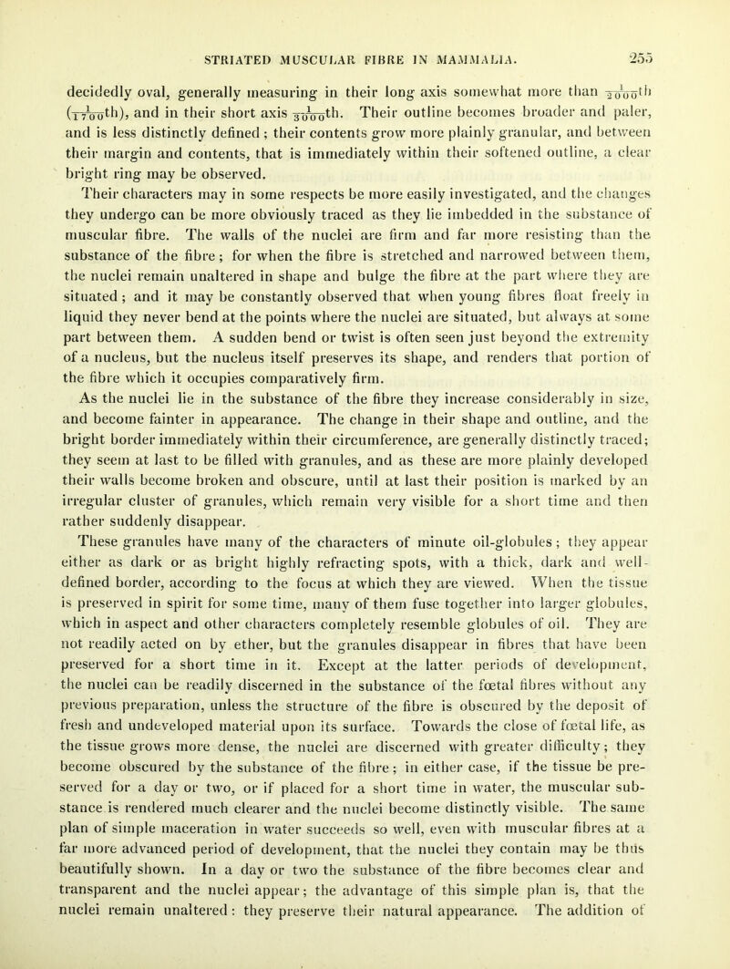 decidedly oval, generally measuring in their long axis somewhat more than ^cfeoth (xVooth), and in their short axis ^o^th. Their outline becomes broader and paler, and is less distinctly defined ; their contents grow more plainly granular, and between their margin and contents, that is immediately within their softened outline, a clear bright ring may be observed. Their characters may in some respects be more easily investigated, and the changes they undergo can be more obviously traced as they lie imbedded in the substance of muscular fibre. The walls of the nuclei are firm and far more resisting than the substance of the fibre; for when the fibre is stretched and narrowed between them, the nuclei remain unaltered in shape and bulge the fibre at the part where they are situated; and it may be constantly observed that when young fibres float freely in liquid they never bend at the points where the nuclei are situated, but always at some part between them. A sudden bend or twist is often seen just beyond the extremity of a nucleus, but the nucleus itself preserves its shape, and renders that portion of the fibre which it occupies comparatively firm. As the nuclei lie in the substance of the fibre they increase considerably in size, and become fainter in appearance. The change in their shape and outline, and the bright border immediately within their circumference, are generally distinctly traced; they seem at last to be filled with granules, and as these are more plainly developed their walls become broken and obscure, until at last their position is marked by an irregular cluster of granules, which remain very visible for a short time and then rather suddenly disappear. These granules have many of the characters of minute oil-globules; they appear either as dark or as bright highly refracting spots, with a thick, dark and well- defined border, according to the focus at which they are viewed. When the tissue is preserved in spirit for some time, many of them fuse together into larger globules, which in aspect and other characters completely resemble globules of oil. They are not readily acted on by ether, but the granules disappear in fibres that have been preserved for a short time in it. Except at the latter periods of development, the nuclei can be readily discerned in the substance of the foetal fibres without any previous preparation, unless the structure of the fibre is obscured by the deposit of fresh and undeveloped material upon its surface. Towards the close of foetal life, as the tissue grows more dense, the nuclei are discerned with greater difficulty; they become obscured by the substance of the fibre; in either case, if the tissue be pre- served for a day or two, or if placed for a short time in water, the muscular sub- stance is rendered much clearer and the nuclei become distinctly visible. The same plan of simple maceration in water succeeds so well, even with muscular fibres at a far more advanced period of development, that the nuclei they contain may be thus beautifully shown. In a day or two the substance of the fibre becomes clear and transparent and the nuclei appear; the advantage of this simple plan is, that the nuclei remain unaltered; they preserve their natural appearance. The addition of