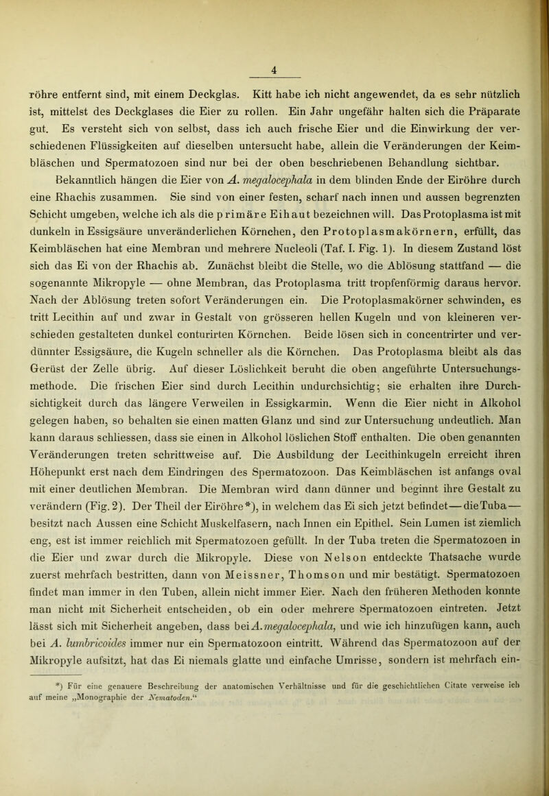 röhre entfernt sind, mit einem Deckglas. Kitt habe ich nicht angewendet, da es sehr nützlich ist, mittelst des Deckglases die Eier zu rollen. Ein Jahr ungefähr halten sich die Präparate gut. Es versteht sich von selbst, dass ich auch frische Eier und die Einwirkung der ver- schiedenen Flüssigkeiten auf dieselben untersucht habe, allein die Veränderungen der Keim- bläschen und Spermatozoon sind nur bei der oben beschriebenen Behandlung sichtbar. Bekanntlich hängen die Eier von A. megalocephala in dem blinden Ende der Eiröhre durch eine Rhachis zusammen. Sie sind von einer festen, scharf nach innen und aussen begrenzten Schicht umgeben, welche ich als die primäre Eihaut bezeichnen will. Das Protoplasma ist mit dunkeln in Essigsäure unveränderlichen Körnchen, den Protoplasmakörnern, erfüllt, das Keimbläschen hat eine Membran und mehrere Nucleoli (Taf. I. Fig. 1). In diesem Zustand löst sich das Ei von der Rhachis ab. Zunächst bleibt die Stelle, wo die Ablösung stattfand — die sogenannte Mikropyle — ohne Membran, das Protoplasma tritt tropfenförmig daraus hervor. Nach der Ablösung treten sofort Veränderungen ein. Die Protoplasmakörner schwinden, es tritt Lecithin auf und zwar in Gestalt von grösseren hellen Kugeln und von kleineren ver- schieden gestalteten dunkel conturirten Körnchen. Beide lösen sich in concentrirter und ver- dünnter Essigsäure, die Kugeln schneller als die Körnchen. Das Protoplasma bleibt als das Gerüst der Zelle übrig. Auf dieser Löslichkeit beruht die oben angeführte üntersuchungs- methode. Die frischen Eier sind durch Lecithin undurchsichtig; sie erhalten ihre Durch- sichtigkeit durch das längere Verweilen in Essigkarmin. Wenn die Eier nicht in Alkohol gelegen haben, so behalten sie einen matten Glanz und sind zur Untersuchung undeutlich. Man kann daraus schliessen, dass sie einen in Alkohol löslichen Stoff enthalten. Die oben genannten Veränderungen treten schrittweise auf. Die Ausbildung der Lecithinkugeln erreicht ihren Höhepunkt erst nach dem Eindringen des Spermatozoon. Das Keimbläschen ist anfangs oval mit einer deutlichen Membran. Die Membran wird dann dünner und beginnt ihre Gestalt zu verändern (Fig. 2). Der Theil der Eiröhre*), in welchem das Ei sich jetzt befindet—dieTuba— besitzt nach Aussen eine Schicht Muskelfasern, nach Innen ein Epithel. Sein Lumen ist ziemlich eng, est ist immer reichlich mit Spermatozoen gefüllt, ln der Tuba treten die Spermatozoen in die Eier und zwar durch die Mikropyle. Diese von Nelson entdeckte Thatsache wurde zuerst mehrfach bestritten, dann von Meissner, Thomson und mir bestätigt. Spermatozoen findet man immer in den Tuben, allein nicht immer Eier. Nach den früheren Methoden konnte man nicht mit Sicherheit entscheiden, ob ein oder mehrere Spermatozoen eintreten. Jetzt lässt sich mit Sicherheit angeben, dass beiA.megalocejjhala, und wie ich hinzufügen kann, auch bei A. lumbricoides immer nur ein Spermatozoon eintritt. Während das Spermatozoon auf der Mikropyle aufsitzt, hat das Ei niemals glatte und einfache Umrisse, sondern ist mehrfach ein- *) Für eine genauere Beschreibung der anatomischen Verhältnisse und für die geschichtlichen Citate verweise ich auf meine „Monographie der Nematoden.