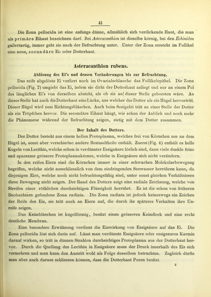 Die Zona pellucida ist eine anfangs dünne, allmählich sich verdickende Haut, die man als primäre Eihaut bezeichnen darf. Bei Asteracanthion ist dieselbe körnig, bei den Echiniden gallertartig, immer geht sie nach der Befruchtung unter. Unter der Zona entsteht im Follikel eine neue, secundäre Ei- oder Dotterhaut. Asteracanthion ruhens. Ablösung des Ei’s und dessen Yeränderungen bis zur Befruchtung. Das reife abgelöste Ei verliert noch im Ovarialschlauche das Follikelepithel. Die Zona pellucida (Fig. 2) umgiebt das Ei, indem sie dicht der Dotterhaut anliegt und nur an einem Pol des länglichen Ei’s von derselben absteht, als ob sie anj dieser Stelle geborsten wäre. An dieser Stelle hat auch dieDotterhaut eineLücke, aus welcher derDotter als ein Hügel hervortritt. Dieser Hügel wird zum Richtungsbläschen. Auch beim Seeigelei tritt an einer Stelle der Dotter als ein Tröpfchen hervor. Die secundäre Eihaut hängt, wie schon der Anblick und noch mehr die Phänomene während der Befruchtung zeigen, stetig mit dem Dotter zusammen. Der Inhalt des Dotters. Der Dotter besteht aus einem hellen Protoplasma, welches frei von Körnchen nur an dem Hügel ist, sonst aber verschiedne andere Bestandtheile enthält. Zuerst (Fig. 4) enthält es helle Kugeln von Lecithin, welche schon in verdünnter Essigsäure löslich sind, dann viele dunkle feine und sparsame grössere Protoplasmakörner, welche in Essigsäure sich nicht verändern. In den reifen Eiern sind die Körnchen immer in einer schwachen Molekularbewegung begriffen, welche nicht ausschliesslich von dem eindringenden Seewasser herrühren kann, da diejenigen Eier, welche noch nicht befruchtungsfähig sind, unter sonst gleichen Verhältnissen diese Bewegung nicht zeigen. Der Rand des Dotters zeigt eine radiale Zeichnung, welche von Streifen einer röthlichen durchsichtigen Flüssigkeit herrührt. Es ist die schon von früheren Beobachtern gefundene Zona radiata. Die Zona radiata ist jedoch keineswegs ein Zeichen der Reife des Eis, sie tritt auch an Eiern auf, die durch ihr späteres Verhalten ihre Un- reife zeigen. Das Keimbläschen ist kugelförmig, besitzt einen grösseren Keimfleck und eine recht deutliche Membran. Eine besondere Erwähnung verdient die Einwirkung von Essigsäure auf das Ei. Die Zona pellucida löst sich darin auf. Lässt man verdünnte Essigsäure oder essigsaures Karmin darauf wirken, so tritt in dünnen Strahlen durchsichtiges Protoplasma aus der Dotterhaut her- vor. Durch die Quellung des Lecithin in Essigsäure muss der Druck innerhalb des Eis sich vermehren und man kann den Austritt wohl als Folge desselben betrachten. Zugleich dürfte man aber auch daraus schliessen können, dass die Dotterhaut Poren besitzt. 6