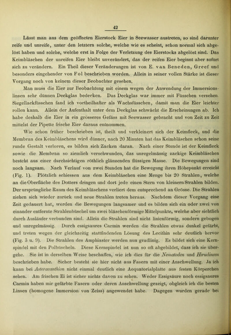 Lässt man aus dem geöffneten Eierstock Eier in Seewasser austreten, so sind darunter reife und unreife, unter den letztem solche, welche wie es scheint, schon normal sich abge- löst haben und solche, welche erst in Folge der Verletzung des Eierstocks abgelöst sind. Das Keimbläschen der unreifen Eier bleibt unverändert, das der reifen Eier beginnt aber sofort sich zu verändern. Ein Theil dieser Veränderungen ist von E. van Beneden, Greef und besonders eingehender von Fol beschrieben worden. Allein in seiner vollen Stärke ist dieser Vorgang noch von keinem dieser Beobachter gesehen. Man muss die Eier zur Beobachtung mit einem wegen der Anwendung der Immersions- linsen sehr dünnen Deckglas bedecken. Das Deckglas war immer mit Füsschen versehen. Siegellackfüsschen fand ich vortheilhafter als Wachsfüsschen, damit man die Eier leichter rollen kann. Allein der Aufenthalt unter dem Deckglas schwächt die Erscheinungen ab. Ich habe deshalb die Eier in ein grösseres Gefäss mit Seewasser gebracht und von Zeit zu Zeit mittelst der Pipette frische Eier daraus entnommen. Wie schon früher beschrieben ist, theilt und verkleinert sich der Keimfleck, und die Membran des Keimbläschens wird dünner, nach 20 Minuten hat das Keimbläschen schon seine runde Gestalt verloren, es bilden sich Zacken daran. Nach einer Stunde ist der Keimfleck sowie die Membran so ziemlich verschwunden, das unregelmässig zackige Keimbläschen besteht aus einer durchsichtigen röthlich glänzenden flüssigen Masse. Die Bewegungen sind noch langsam. Nach Verlauf von zwei Stunden hat die Bewegung ihren Höhepunkt erreicht (Fig. 1). Plötzlich schiessen aus dem Keimbläschen eine Menge bis 20 Strahlen, welche an die Oberfläche des Dotters dringen und dort jede einen Stern von kleinern Strahlen bilden. Der ursprüngliche Raum des Keimbläschens verliert dem entsprechend an Grösse. Die Strahlen ziehen sich wieder zurück und neue Strahlen treten heraus. Nachdem dieser Vorgang eine Zeit gedauert hat, werden die Bewegungen langsamer und es bilden sich ein oder zwei von einander entfernte Strahlenbüschel um zwei bläschenförmige Mittelpunkte, welche aber sichtlich durch Ausläufer verbunden sind. Allein die Strahlen sind nicht linienförmig, sondern gebogen und unregelmässig. Durch essigsaures Carmin werden die Strahlen etwas dunkel gefärbt, und treten wegen der gleichzeitig stattfindenden Lösung des Lecithin sehr deutlich hervor (Fig. 3 u. 9). Die Strahlen des Amphiaster werden nun gradlinig. Es bildet sich eine Kern- spinclel mit den Polbüscheln. Diese Kernspindel ist nun so oft abgebildet, dass ich sie über- gehe. Sie ist in derselben Weise beschaffen, wie ich dies für die Nematoden und Hirudineen beschrieben habe. Sicher besteht sie hier nicht aus Fasern mit einer Anschwellung. Ja ich kann bei Asteracanthion nicht einmal deutlich eine Aequatorialplatte aus festen Körperchen sehen. Am frischen Ei ist sicher nichts davon zu sehen. Weder Essigsäure noch essigsaures Carmin haben mir gefärbte Fasern oder deren Anschwellung gezeigt, obgleich ich die besten Linsen (homogene Immersion von Zeiss) angewendet habe. Dagegen wurden gerade bei