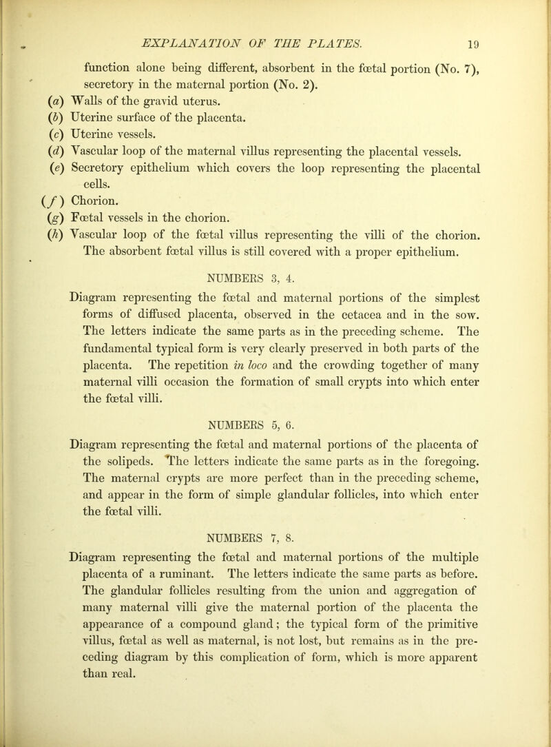 function alone being different, absorbent in the foetal portion (No. 7), secretory in the maternal portion (No. 2). (a) Walls of the gravid uterus. (ft) Uterine surface of the placenta. (c) Uterine vessels. {d) Yascular loop of the maternal villus representing the placental vessels. (e) Secretory epithelium which covers the loop representing the placental cells. (y) Chorion. (g) Foetal vessels in the chorion. (Ji) Yascular loop of the foetal villus representing the villi of the chorion. The absorbent foetal villus is still covered with a proper epithelium. NUMBERS 3, 4. Diagram representing the foetal and maternal portions of the simplest forms of diffused placenta, observed in the cetacea and in the sow. The letters indicate the same parts as in the preceding scheme. The fundamental typical form is very clearly preserved in both parts of the placenta. The repetition in loco and the crowding together of many maternal villi occasion the formation of small crypts into which enter the foetal villi. NUMBERS 5, 6. Diagram representing the foetal and maternal portions of the placenta of the solipeds. The letters indicate the same parts as in the foregoing. The maternal crypts are more perfect than in the preceding scheme, and appear in the form of simple glandular follicles, into which enter the foetal villi. NUMBERS 7, 8. Diagram representing the foetal and maternal portions of the multiple placenta of a ruminant. The letters indicate the same parts as before. The glandular follicles resulting from the union and aggregation of many maternal villi give the maternal portion of the placenta the appearance of a compound gland; the typical form of the primitive villus, foetal as well as maternal, is not lost, but remains as in the pre- ceding diagram by this complication of form, which is more apparent than real.