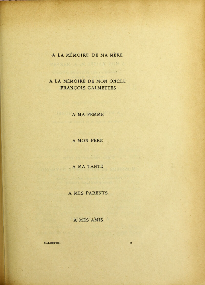 A LA MÉMOIRE DE MA MÈRE A LA MÉMOIRE DE MON ONCLE FRANÇOIS CALMETTES A MA FEMME A MON PÈRE A MA TANTE A MES PARENTS A MES AMIS