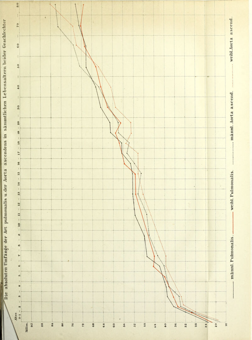 männl. Pulmo na lis weibl. Pidmoiialis mäiml. Aorta ascend weibl. Aorta ascend.