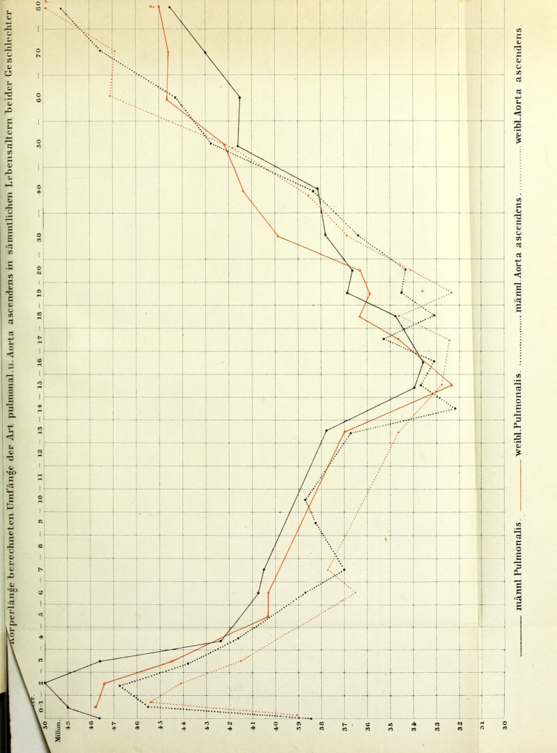 männl PulinoriaJis weiMTulmonalis märml. Aorta ascendens weit)!Aorta ascendens.