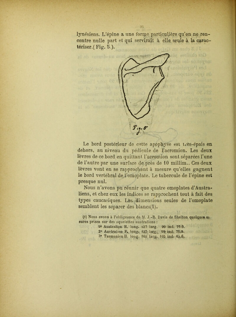 lynésiens. L’épine a une forme particulière qu’on ne ren- contre nulle part et qui servirait à elle seule à la carac- tériser.! Fig. h.). Le bord postérieur de cette apophyse est très-épais en dehors, au niveau du pédicule de l’acromion. Les deux lèvres de ce bord en quittant, l’acromion sont séparées l’une de l’autre par une surface de près de 10 millim.. Ces deux lèvres vont en se rapprochant à mesure qu’elles gagnent le bord vertébral de,l’omoplate. Le tubercule de l’épine est presque nul. Nous n’avons pu réunir que quatre omoplates d’Austra- liens, et chez eux les indices se rapprochent tout à fait des types caucasiques. Les. dimensions seules de l’omoplate semblent les séparer des blancs(l). (1) Nous avons à l’obligeance de 1\I. J.-B. Davis de Shelton quelques up sures prises sur des squelettes australiens : le Australien H. long. 127 larg. 90 ind. 77;9. 2° Australien F. longv 12,7 larg. 99- ijid- 3° Tasmanien H. long. 16P larg. 105 ipçB 65.6,