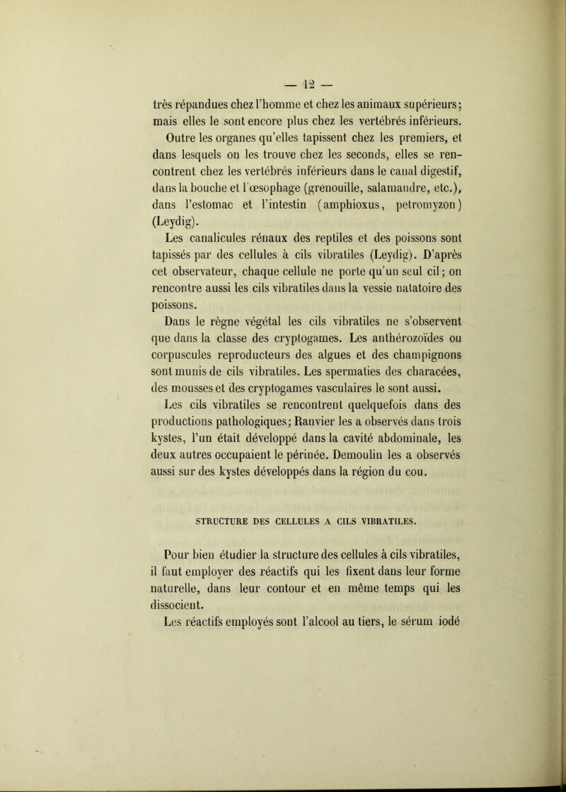 très répandues chez l’homme et chez les animaux supérieurs : mais elles le sont encore plus chez les vertébrés inférieurs. Outre les organes qu’elles tapissent chez les premiers, et dans lesquels on les trouve chez les seconds, elles se ren- contrent chez les vertébrés inférieurs dans le canal digestif, daus la bouche et 1 œsophage (grenouille, salamandre, etc.), dans l’estomac et l’intestin (amphioxus, petromyzon) (Leydig). Les canalicules rénaux des reptiles et des poissons sont tapissés par des cellules à cils vibraliles (Leydig). D’après cet observateur, chaque cellule ne porte qu’un seul cil; on rencontre aussi les cils vibratiles dans la vessie natatoire des poissons. Dans le règne végétal les cils vibratiles ne s’observent que dans la classe des cryptogames. Les anthérozoïdes ou corpuscules reproducteurs des algues et des champignons sont munis de cils vibratiles. Les spermaties des characées, des mousses et des cryptogames vasculaires le sont aussi. Les cils vibratiles se rencontrent quelquefois dans des productions pathologiques; Ranvier les a observés dans trois kystes, l’un était développé dans la cavité abdominale, les deux autres occupaient le périnée. Demoulin les a observés aussi sur des kystes développés dans la région du cou. STRUCTURE DES CELLULES A CILS VIBRATILES. Pour bien étudier la structure des cellules à cils vibratiles, il faut employer des réactifs qui les fixent daus leur forme naturelle, dans leur contour et en même temps qui les dissocient. Les réactifs employés sont l’alcool au tiers, le sérum iodé