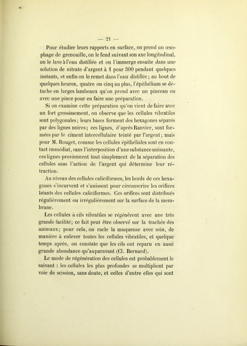 Pour étudier leurs rapports en surface, on prend un œso- phage de grenouille, on le fend suivant son axe longitudinal, on le lave à l’eau distillée et on l’immerge ensuite dans une solution de nitrate d’argent à 1 pour 300 pendant quelques instants, et enfin on le remet dans l’eau distillée; au bout de quelques heures, quatre ou cinq au plus, l’épithélium se dé- tache en larges iambeaux qu’on prend avec un pinceau ou avec une pince pour en faire une préparation. Si on examine cette préparation qu’on vient de faire avec- un fort grossissement, on observe que les cellules vibratiles sont polygonales ; leurs bases forment des hexagones séparés par des lignes noires; ces lignes, d’aprèsRanvier, sont for- mées par le ciment intercellulaire teinté par l’argent; mais pour M. Rouget, comme les cellules épithéliales sont en con- tact immédiat, sans l’interposition d’unesubstanceunissante, ces lignes proviennent tout simplement de la séparation des cellules sous l’action de l’argent qui détermine leur ré- traction. Au niveau des cellules caliciformes, les bords de ces hexa- gones s’incurvent et s’unissent pour circonscrire les orifices béants des cellules caliciformes. Ces orifices sont distribués régulièrement ou irrégulièrement sur la surface de la mem- brane. Les cellules à cils vibratiles se régénèrent avec une très grande facilité; ce fait peut être observé sur la trachée des animaux; pour cela, on racle la muqueuse avec soin, de manière à enlever toutes les cellules vibratiles, et quelque temps après, on constate que les cils ont reparu en aussi grande abondance qu’auparavant (Cl. Bernard). Le mode de régénération des cellules est probablement le suivant : les cellules les plus profondes se multiplient par voie de scission, sans doute, et celles d’entre elles qui sont