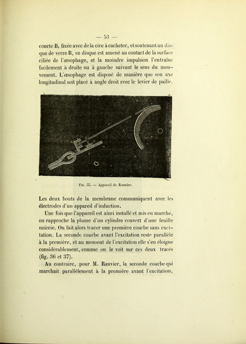 courte B, fixée avec delà cire à cacheter, etsoutenantun dis- que de verre B, ce disque est amené au contact de la surface ciliée de l'oesophage, et la moindre impulsion l’entraîne facilement à droite ou à gauche suivant le sens du mou- vement. L’œsophage est disposé de manière que son axe longitudinal soit placé à angle droit avec le levier de paille. Fig. 35. — Appareil de Ranvier. Les deux bouts de la membrane communiquent avec les électrodes d’un appareil d’induction. Une fois que l'appareil est ainsi installé et mis en marche, on rapproche la plume d’un cylindre couvert d’une feuille noircie. On fait alors tracer une première courbe sans exci- tation. La seconde courbe avant l’excitation reste parallèle à la première, et au moment de l’excitation elle s’en éloigne considérablement, comme on le voit sur ces deux tracés (6g. 36 et 37). Au contraire, pour M. Ranvier, la seconde courbe qui marchait parallèlement à la première avant l’excitation,