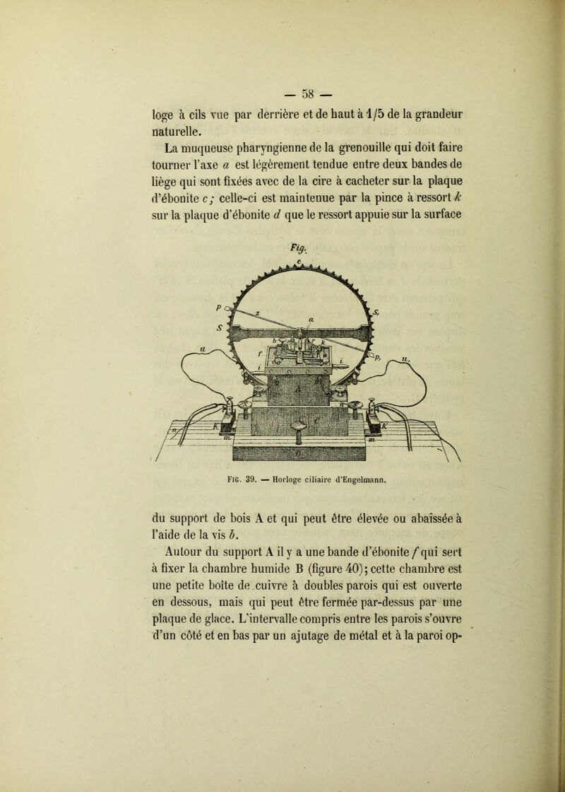 loge à cils vue par derrière et de haut à 1/5 de la grandeur naturelle. La muqueuse pharyngienne de la grenouille qui doit faire tourner l’axe a est légèrement tendue entre deux bandes de liège qui sont fixées avec de la cire à cacheter sur la plaque d’ébonite c; celle-ci est maintenue par la pince à ressort Æ sur la plaque d’ébonite d que le ressort appuie sur la surface Fig. 39. — Horloge ciliaire d’Engelmann. du support de bois A et qui peut être élevée ou abaissée à l’aide de la vis b. Autour du support A il y a une bande d’ébonite / qui sert à fixer la chambre humide B (figure 40); cette chambre est une petite boîte de cuivre à doubles parois qui est ouverte en dessous, mais qui peut être fermée par-dessus par une plaque de glace. L’intervalle compris entre les parois s’ouvre d’un côté et en bas par un ajutage de métal et à la paroi op-