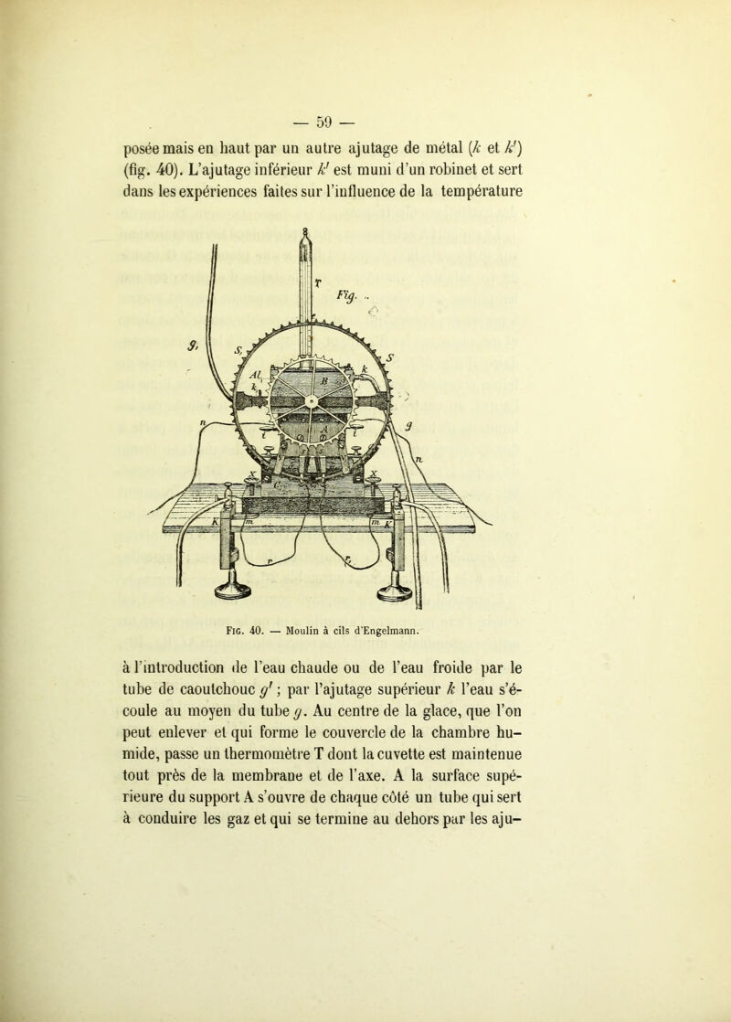 posée mais en haut par un autre ajutage de métal (À- et k') (fîg. 40). L’ajutage inférieur k' est muni d’un robinet et sert dans les expériences faites sur l’influence de la température Fig. 40. — Moulin à cils d'Engelmann. à l’introduction de l’eau chaude ou de l’eau froide par le tube de caoutchouc g* ; par l’ajutage supérieur k l’eau s’é- coule au moyen du tube g. Au centre de la glace, que l’on peut enlever et qui forme le couvercle de la chambre hu- mide, passe un thermomètre T dont la cuvette est maintenue tout près de la membrane et de l’axe. A la surface supé- rieure du support A s’ouvre de chaque côté un tube qui sert à conduire les gaz et qui se termine au dehors par les aju-