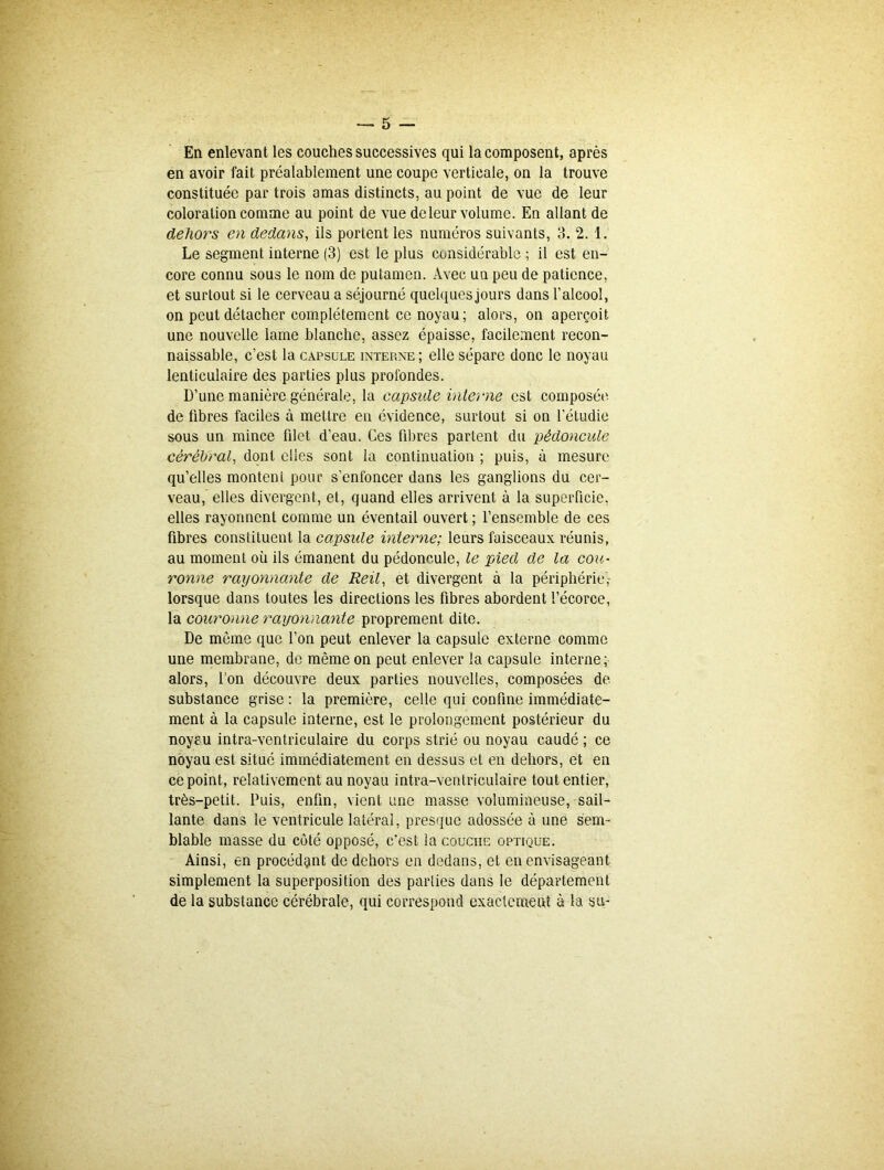 En enlevant les couches successives qui la composent, après en avoir fait préalablement une coupe verticale, on la trouve constituée par trois amas distincts, au point de vue de leur coloration comme au point de vue de leur volume. En allant de dehors eu dedans, ils portent les numéros suivants, 3. 2. 1. Le segment interne (3) est le plus considérable ; il est en- core connu sous le nom de putamen. Avec un peu de patience, et surtout si le cerveau a séjourné quelquesjours dans l’alcool, on peut détacher complètement ce noyau; alors, on aperçoit une nouvelle lame blanche, assez épaisse, facilement recon- naissable, c’est la capsule interne; elle sépare donc le noyau lenticulaire des parties plus profondes. D’une manière,générale, la capsule interne est composée de libres faciles à mettre en évidence, surtout si on l’étudie sous un mince filet d’eau. Ces fibres partent du pédoncule cérébral, dont elles sont la continuation ; puis, à mesure qu’elles montent pour s’enfoncer dans les ganglions du cer- veau, elles divergent, et, quand elles arrivent à la superficie, elles rayonnent comme un éventail ouvert ; l’ensemble de ces fibres constituent la capsule interne; leurs faisceaux réunis, au moment où ils émanent du pédoncule, le pied de la cou• ronne rayonnante de Reil, et divergent à la périphérie, lorsque dans toutes les directions les fibres abordent l’écorce, la couronne rayonnante proprement dite. De même que l’on peut enlever la capsule externe comme une membrane, de même on peut enlever la capsule interne ; alors, l’on découvre deux parties nouvelles, composées de substance grise : la première, celle qui confine immédiate- ment à la capsule interne, est le prolongement postérieur du noyau intra-ventriculaire du corps strié ou noyau caudé ; ce noyau est situé immédiatement en dessus et en dehors, et en ce point, relativement au noyau intra-ventriculaire tout entier, très-petit. Puis, enfin, vient une masse volumineuse, sail- lante dans le ventricule latéral, presque adossée à une sem- blable masse du côté opposé, c’est la couche optique. Ainsi, en procédant de dehors en dedans, et en envisageant simplement la superposition des parties dans le département de la substance cérébrale, qui correspond exactement à la su-