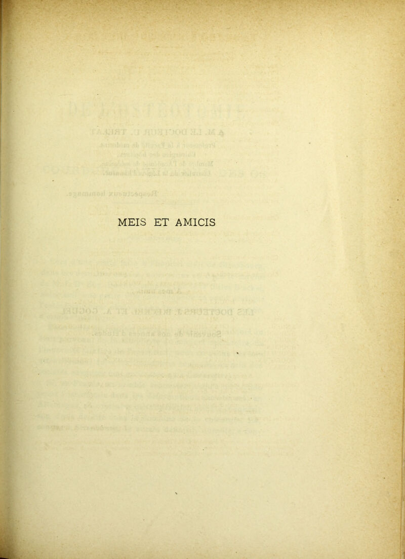 MEIS ET AMICIS