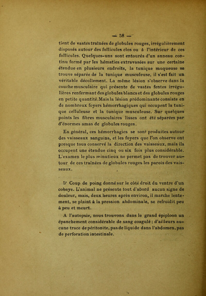 tient de vastes traînées de globules rouges, irrégulièrement disposés autour des follicules clos ou à l’intérieur de ces follicules. Quelques-uns sont entourés d’un anneau con- tinu formé par les hématies extravasées sur une certaine étendue en plusieurs endroits, la tunique muqueuse se trouve séparée de la tunique musculeuse, il s’est fait un véritable décollement. La même lésion s’observe dans la couche musculaire qui présente de vastes fentes irrégu- lières renfermant des globules blancs et des globules rouges en petite quantité.Mais la lésion prédominante consiste en de nombreux foyers hémorrhagiques qui occupent la tuni- que celluleuse et la tunique musculeuse. Sur quelques points les fibres musculaires lisses ont été séparées par d’énormes amas de globules rouges. En général, ces hémorrhagies se sont produites autour des vaisseaux sanguins, et les foyers que l’on observe ont presque tous conservé la direction des vaisseaux, mais ils occupent une étendue cinq ou six fois plus considérable. L’examen le plus minutieux ne permet pas de trouver au- tour de ces traînées de globules rouges les parois des vais- seaux. 5° Coup de poing donné sur le côté droit du ventre d’un cobaye. L’animal ne préseute tout d’abord aucun signe de douleur, mais, deux heures après environ, il marche lente- ment, se plaint à la pression abdominale, se refroidit peu à peu et meurt. A l’autopsie, nous trouvons dans le grand épiploon un épanchement considérable de sang coagulé ; d’ailleurs au- cune trace de péritonite, pas de liquide dans l’abdomen, pas de perforation intestinale.