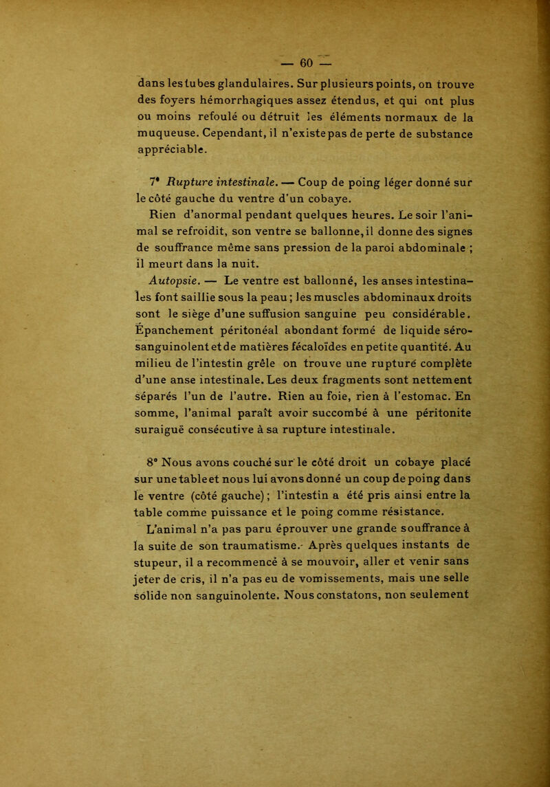 dans leslubes glandulaires. Sur plusieurs points, on trouve des foyers hémorrhagiques assez étendus, et qui ont plus ou moins refoulé ou détruit les éléments normaux de la muqueuse. Cependant, il n’existe pas de perte de substance appréciable. 7* Rupture intestinale. — Coup de poing léger donné sur le côté gauche du ventre d’un cobaye. Rien d’anormal pendant quelques heures. Le soir l’ani- mal se refroidit, son ventre se ballonne, il donne des signes de souffrance même sans pression de la paroi abdominale ; il meurt dans la nuit. Autopsie. — Le ventre est ballonné, les anses intestina- les font saillie sous la peau ; les muscles abdominaux droits sont le siège d’une suffusion sanguine peu considérable. Épanchement péritonéal abondant formé de liquide séro- sanguinolentetde matières fécaloïdes en petite quantité. Au milieu de l’intestin grêle on trouve une rupturé complète d’une anse intestinale. Les deux fragments sont nettement séparés l’un de l’autre. Rien au foie, rien à l’estomac. En somme, l’animal paraît avoir succombé à une péritonite suraiguë consécutive à sa rupture intestinale. 8° Nous avons couché sur le côté droit un cobaye placé sur unetableet nous lui avonsdonné un coup de poing dans le ventre (côté gauche) ; l’intestin a été pris ainsi entre la table comme puissance et le poing comme résistance. L’animal n’a pas paru éprouver une grande souffrance à la suite de son traumatisme.- Après quelques instants de stupeur, il a recommencé à se mouvoir, aller et venir sans jeter de cris, il n’a pas eu de vomissements, mais une selle solide non sanguinolente. Nous constatons, non seulement
