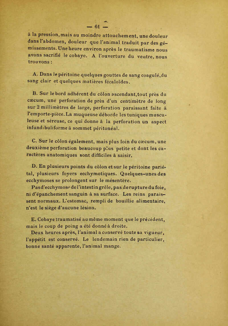 à la pression, mais au moindre attouchement, une douleur dans l’abdomen, douleur que l’animal traduit par des gé- missements. Une heure environ après le traumatisme nous avons sacrifié le cobaye. A l’ouverture du ventre, nous trouvons : A. Dans le péritoine quelques gouttes de sang coagulé,du sang clair et quelques matières fécaloïdes. B. Sur le bord adhérent du côlon ascendant,tout près du cæcum, une perforation de près d’un centimètre de long sur 2 millimètres de large, perforation paraissant faite à 1 emporte-pièce. La muqueuse déborde les tuniques muscu- leuse et séreuse, ce qui donne à la perforation un aspect infundibuliforme à sommet péritonéal. C. Sur le côlon également, mais plus loin du cæcum, une deuxième perforation beaucoup plus petite et dont les ca- ractères anatomiques sont difficiles à saisir. D. En plusieurs points du côlon et sur le péritoine parié- tal, plusieurs foyers ecchymotiques. Quelques-unes des ecchymoses se prolongent sur le mésentère. Pasd’ecchymosoderintestingrêle, pas derupture dufoie, ni d’épanchement sanguin à sa surface. Les reins parais- sent normaux. L’estomac, rempli de bouillie alimentaire, n’est le siège d’aucune lésion. E. Cobaye traumatisé au même moment que le précédent, mais le coup de poing a été donné à droite. Deux heures après, l’animal a conservé toute sa vigueur, l’appétit est conservé. Le lendemain rien de particulier, bonne santé apparente, l’animal mange.