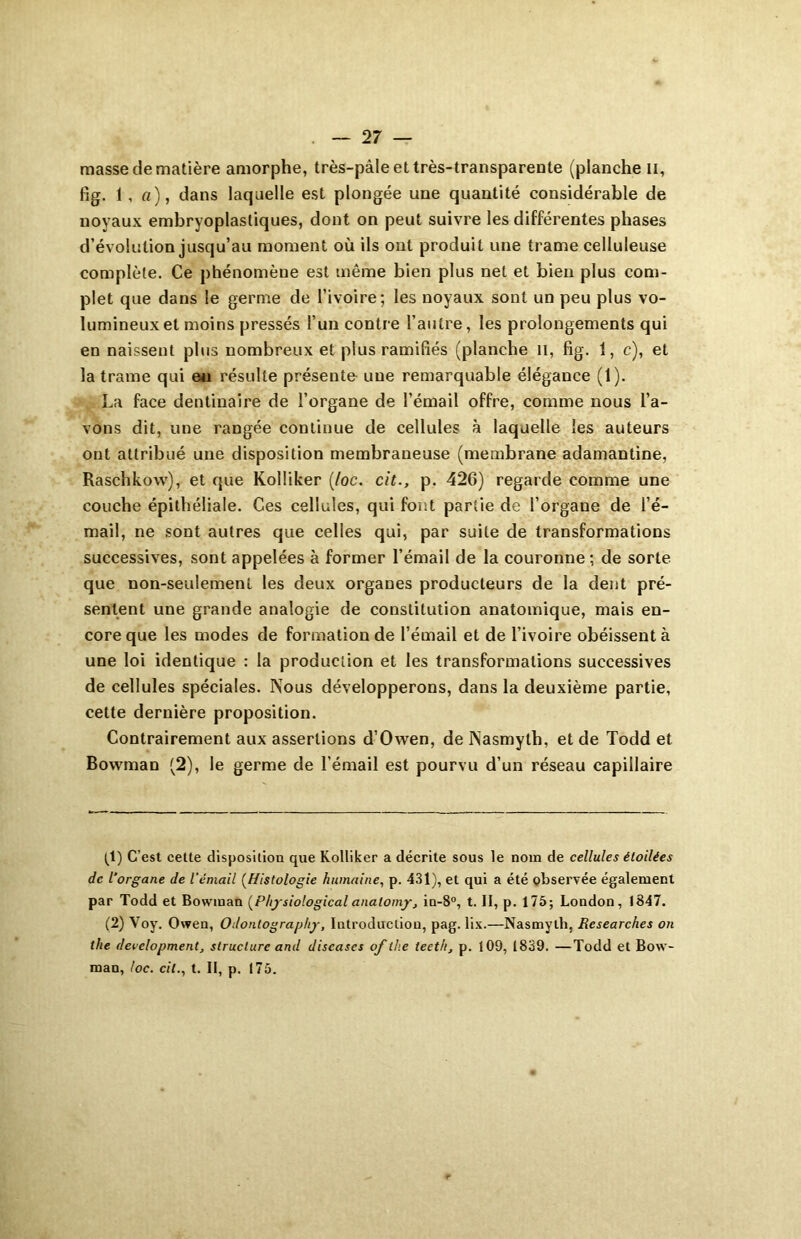 — 2 7 — masse de matière amorphe, très-pâle et très-transparente (planche il, fig. 1 , a), dans laquelle est plongée une quantité considérable de noyaux embryoplastiques, dont on peut suivre les différentes phases d’évolution jusqu’au moment où ils ont produit une trame celluleuse complète. Ce phénomène est même bien plus net et bien plus com- plet que dans le germe de l’ivoire; les noyaux sont un peu plus vo- lumineux et moins pressés l’un contre l’autre, les prolongements qui en naissent plus nombreux et plus ramifiés (planche il, fig. 1, c), et la trame qui eu résulte présente une remarquable élégance (1). La face dentinaire de l’organe de l’émail offre, comme nous l’a- vons dit, une rangée continue de cellules à laquelle les auteurs ont attribué une disposition membraneuse (membrane adamantine, Raschkow), et que Kolüker (/oc. cit., p. 426) regarde comme une couche épithéliale. Ces cellules, qui font partie de l’organe de l’é- mail, ne sont autres que celles qui, par suite de transformations successives, sont appelées à former l’émail de la couronne ; de sorte que non-seulement les deux organes producteurs de la dent pré- sentent une grande analogie de constitution anatomique, mais en- core que les modes de formation de l’émail et de l’ivoire obéissent à une loi identique : la production et les transformations successives de cellules spéciales. Nous développerons, dans la deuxième partie, cette dernière proposition. Contrairement aux assertions d’Owen, de Nasmyth, et de Todd et Bowman (2), le germe de l’émail est pourvu d’un réseau capillaire (1) C’est cette disposition que Kolliker a décrite sous le nom de cellules étoilées de l’organe de l’émail (Histologie humaine, p. 431), et qui a été observée également par Todd et Bowinan (Physiological analomy, in-8°, t. II, p. 175; London, 1847. (2) Yoy. Owen, Odontography, Introduction, pag. lix.—Nasmylh, Rcsearches on tlie development, structure and diseuses of the tecth3 p. 109, 1839. —Todd et Bow- man, toc. cil., t. II, p. 175.