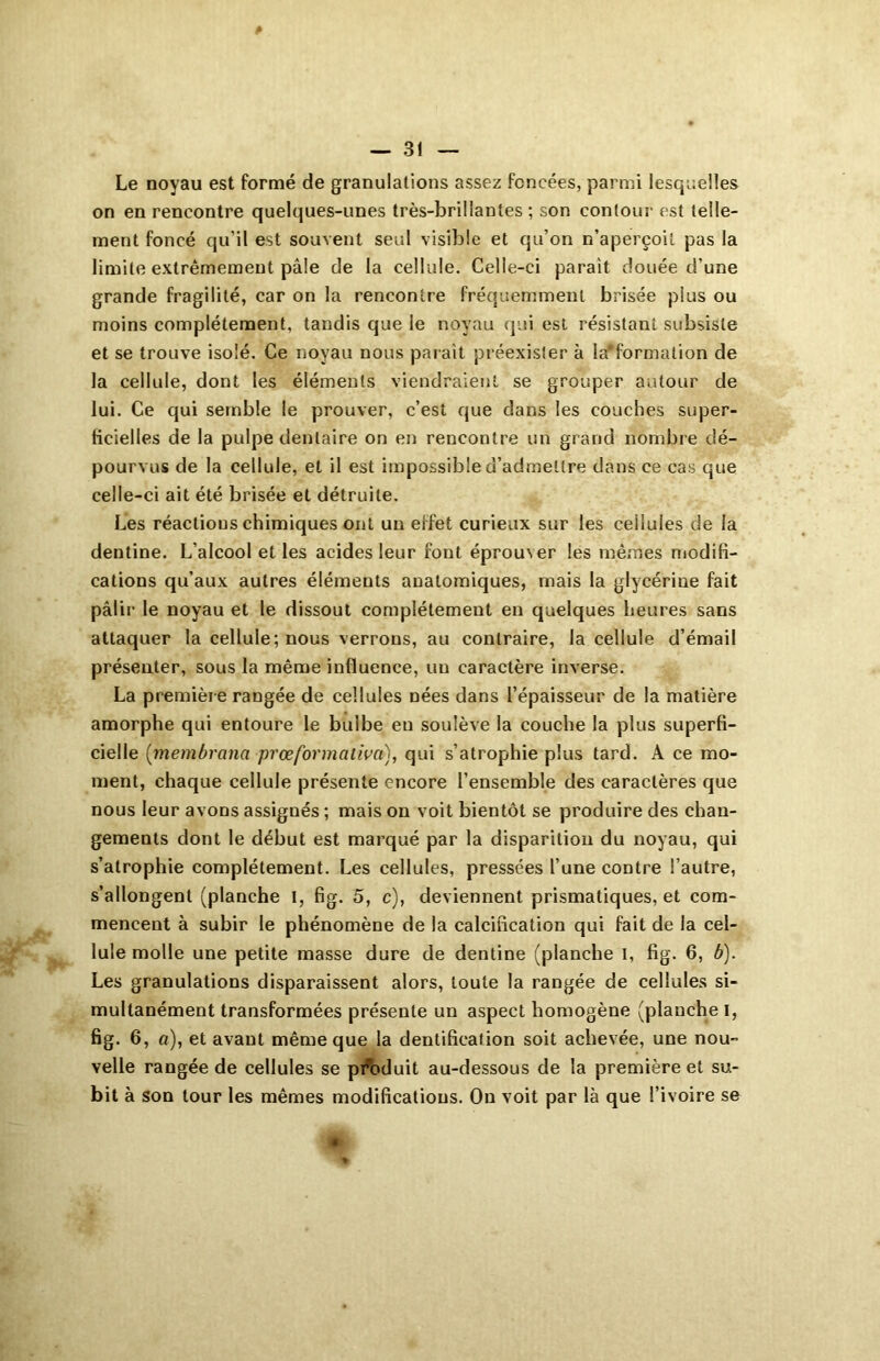 Le noyau est formé de granulations assez foncées, parmi lesquelles on en rencontre quelques-unes très-brillantes ; son contour est telle- ment foncé qu’il est souvent seul visible et qu’on n’aperçoit pas la limite extrêmement pâle de la cellule. Celle-ci parait douée d’une grande fragilité, car on la rencontre fréquemment brisée plus ou moins complètement, tandis que le noyau qui est résistant subsiste et se trouve isolé. Ce noyau nous parait préexister à Information de la cellule, dont les éléments viendraient se grouper autour de lui. Ce qui semble le prouver, c’est que dans les couches super- ficielles de la pulpe dentaire on en rencontre un grand nombre dé- pourvus de la cellule, et il est impossible d’admettre dans ce cas que celle-ci ait été brisée et détruite. Les réactions chimiques ont un eifet curieux sur les ceilules de la dentine. L’alcool et les acides leur font éprouver les mêmes modifi- cations qu’aux autres éléments anatomiques, mais la glycérine fait pâlir le noyau et le dissout complètement en quelques heures sans attaquer la cellule; nous verrons, au contraire, la cellule d’émail présenter, sous la même influence, un caractère inverse. La première rangée de cellules nées dans l’épaisseur de la matière amorphe qui entoure le bulbe eu soulève la couche la plus superfi- cielle (membrana prœformativa), qui s’atrophie plus tard. A ce mo- ment, chaque cellule présente encore l’ensemble des caractères que nous leur avons assignés ; mais on voit bientôt se produire des chan- gements dont le début est marqué par la disparition du noyau, qui s’atrophie complètement. Les cellules, pressées l’une contre l’autre, s’allongent (planche I, fig. 5, c), deviennent prismatiques, et com- mencent à subir le phénomène de la calcification qui fait de la cel- lule molle une petite masse dure de dentine (planche I, fig. 6, b). Les granulations disparaissent alors, toute la rangée de cellules si- multanément transformées présente un aspect homogène (planche I, fig. 6, a), et avant même que la dentification soit achevée, une nou- velle rangée de cellules se produit au-dessous de la première et su- bit à son tour les mêmes modifications. On voit par là que l’ivoire se