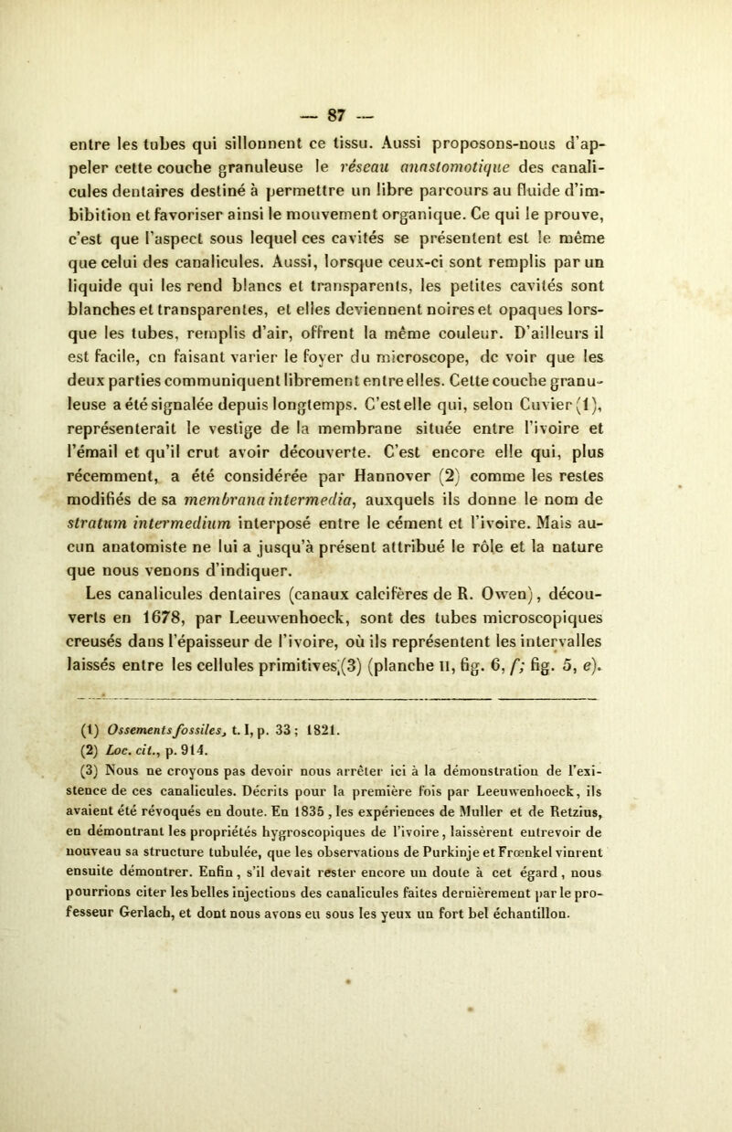 entre les tubes qui sillonnent ce tissu. Aussi proposons-nous d’ap- peler cette couche granuleuse le réseau anastomotique des canali- cules dentaires destiné à permettre un libre parcours au fluide d’im- bibition et favoriser ainsi le mouvement organique. Ce qui le prouve, c’est que l’aspect sous lequel ces cavités se présentent est le même que celui des canalicules. Aussi, lorsque ceux-ci sont remplis par un liquide qui les rend blancs et transparents, les petites cavités sont blanches et transparentes, et elies deviennent noires et opaques lors- que les tubes, remplis d’air, offrent la même couleur. D’ailleurs il est facile, en faisant varier le foyer du microscope, de voir que les deux parties communiquent librement entre elles. Cette couche granu- leuse a été signalée depuis longtemps. C’est elle qui, selon Cuvier (1), représenterait le vestige de la membrane située entre l’ivoire et l’émail et qu’il crut avoir découverte. C’est encore elle qui, plus récemment, a été considérée par Hannover (2) comme les restes modifiés de sa membranaintermedia, auxquels ils donne le nom de stratum intermedium interposé entre le cément et l’ivoire. Mais au- cun anatomiste ne lui a jusqu’à présent attribué le rôle et la nature que nous venons d’indiquer. Les canalicules dentaires (canaux calcifères de R. Owen), décou- verts en 1678, par Leeuwenhoeck, sont des tubes microscopiques creusés dans l’épaisseur de l’ivoire, où ils représentent les intervalles laissés entre les cellules primitives,(3) (planche II, fig. 6, f; fig. 5, e). (t) OssementsJossilesj 1.1, p. 33 ; 1821. (2) Loc. cit., p. 914. (3) Nous ne croyons pas devoir nous arrêter ici à la démonstration de l’exi- stence de ces canalicules. Décrits pour la première lois par Leeuwenhoeck, ils avaient été révoqués en doute. En 1835 , les expériences de Muller et de Retzius, en démontrant les propriétés hygroscopiques de l’ivoire, laissèrent entrevoir de nouveau sa structure tubulée, que les observations de Purkinje et Frœnkel vinrent ensuite démontrer. Enfin, s’il devait rester encore un doute à cet égard, nous pourrions citer les belles injections des canalicules faites dernièrement parle pro- fesseur Gerlach, et dont nous avons eu sous les yeux un fort bel échantillon.