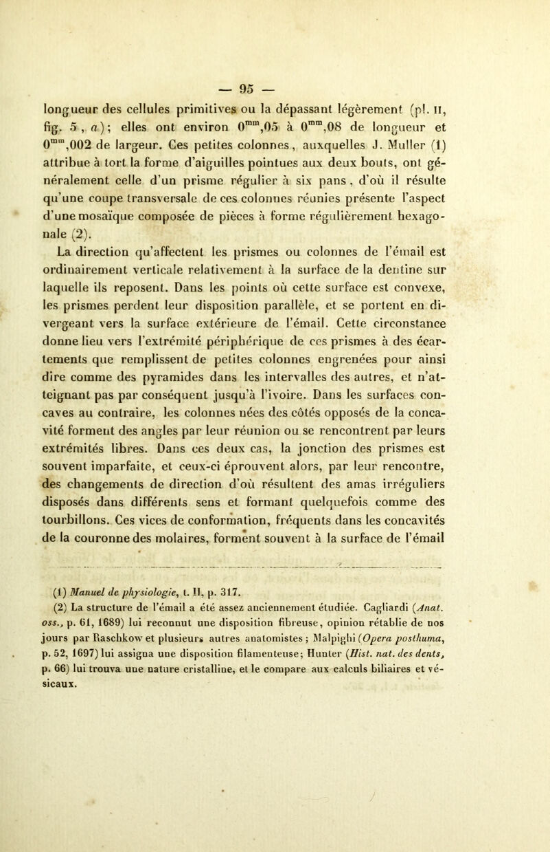 longueur des cellules primitives ou la dépassant légèrement (pi. Il, fig. 5, a); elles ont environ 0mm,05 à 0mra,08 de longueur et 0mm,002 de largeur. Ces petites colonnes, auxquelles J. Muller (1) attribue à tort la forme d’aiguilles pointues aux deux bouts, ont gé- néralement celle d’un prisme régulier à six pans, d’où il résulte qu’une coupe transversale de ces colonnes réunies présente l’aspect d’une mosaïque composée de pièces à forme régulièrement hexago- nale (2). La direction qu’affectent les prismes ou colonnes de l’émail est ordinairement verticale relativement à la surface de la dentine sur laquelle ils reposent. Dans les points où cette surface est convexe, les prismes perdent leur disposition parallèle, et se portent en di- vergeant vers la surface extérieure de l’émail. Cette circonstance donne lieu vers l’extrémité périphérique de ces prismes à des écar- tements que remplissent de petites colonnes engrenées pour ainsi dire comme des pyramides dans les intervalles des autres, et n’at- teignant pas par conséquent jusqu’à l’ivoire. Dans les surfaces con- caves au contraire, les colonnes nées des côtés opposés de la conca- vité forment des angles par leur réunion ou se rencontrent par leurs extrémités libres. Dans ces deux cas, la jonction des prismes est souvent imparfaite, et ceux-ci éprouvent alors, par leur rencontre, des changements de direction d’où résultent des amas irréguliers disposés dans différents sens et formant quelquefois comme des tourbillons. Ces vices de conformation, fréquents dans les concavités de la couronne des molaires, forment souvent à la surface de l’émail (1) Manuel de physiologie, t. II, p. 317. (2) La structure de l’émail a été assez anciennement étudiée. Cagliardi (.Anat. oss.j p. (il, 1689) lui reconnut une disposition fibreuse, opinion rétablie de nos jours par Raschkow et plusieurs autres anatomistes; Malpighi (Opéra posthuma, p. 52, 1697) lui assigna une disposition filamenteuse; Hunier (Hist. nat. des dents, p. 66) lui trouva une nature cristalline, et le compare aux ealculs biliaires et vé- sicaux.