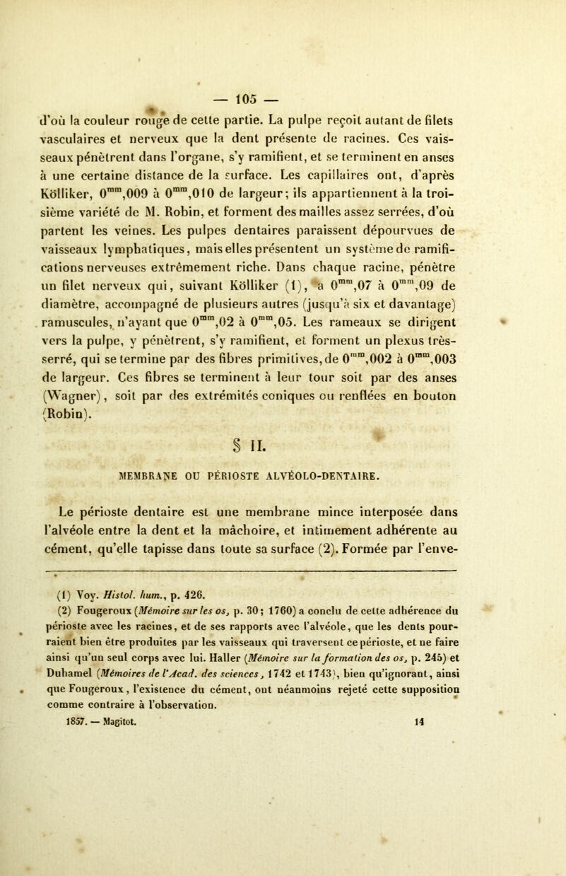 * . d’où la couleur rouge de celte partie. La pulpe reçoit autant de filets vasculaires et nerveux que la dent présente de racines. Ces vais- seaux pénètrent dans l’organe, s’y ramifient, et se terminent en anses à une certaine distance de la surface. Les capillaires ont, d’après Kôlliker, 0rara,009 à 0mra,010 de largeur; ils appartiennent à la troi- sième variété de M. Robin, et forment des mailles assez serrées, d’où partent les veines. Les pulpes dentaires paraissent dépourvues de vaisseaux lymphatiques, mais elles présentent un système de ramifi- cations nerveuses extrêmement riche. Dans chaque racine, pénètre un filet nerveux qui, suivant Kôlliker (1), a 0ram,07 à 0mm,09 de diamètre, accompagné de plusieurs autres (jusqu’à six et davantage) ramuscules, n’ayant que 0mm,02 à 0mm,05. Les rameaux se dirigent vers la pulpe, y pénètrent, s’y ramifient, et forment un plexus très- serré, qui se termine par des fibres primitives, de 0mra,002 à 0ram,003 de largeur. Ces fibres se terminent à leur tour soit par des anses (Wagner), soit par des extrémités coniques ou renflées en boulon (Robin). S ÏI. MEMBRANE OU PÉRIOSTE ALVÉOLO-DENTAIRE. Le périoste dentaire est une membrane mince interposée dans l’alvéole entre la dent et la mâchoire, et intimement adhérente au cément, qu’elle tapisse dans toute sa surface (2). Formée par l’enve- (1) Voy. Hislol. hum., p. 426. (2) Fougeroux {Mémoire sur les os, p. 30; 1760) a conclu de cette adhérence du périoste avec les racines, et de ses rapports avec l’alvéole, que les dents pour- raient bien être produites par les vaisseaux qui traversent ce périoste, et ne faire ainsi qu’un seul corps avec lui. Haller (Mémoire sur la formation (les os, p. 245) et Duhamel (Mémoires de l'Acad. des sciences, 1742 et 1743), bien qu’ignorant, ainsi que Fougeroux, l’existence du cément, out néanmoins rejeté cette supposition comme contraire à l’observation. 1857. — Magitot. 14