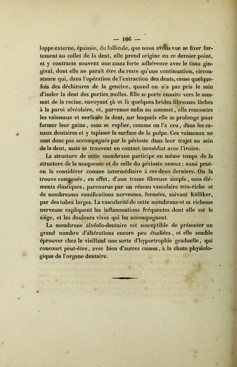 loppe externe, épaissie, du follicule, que nous avons vue se fixer for- tement au collet de la dent, elle prend origine en ce dernier point, et y contracte souvent une assez forte adhérence avec le tissu gin- gival, dont elle ne paraît être du reste qu’une continuation, circon- stance qui, dans l’opération de l’extraction des dents, cause quelque- fois des déchirures de la gencive, quand on n’a pas pris le soin d’isoler la dent des parties molles. Elle se porte ensuite vers le som- met de la racine, envoyant çà et là quelques brides fibreuses lâches à la paroi alvéolaire, et, parvenue enfin au sommet, elle rencontre les vaisseaux et nerfs-de la dent, sur lesquels elle se prolonge pour former leur gaine, sans se replier, comme on l’a cru, dans les ca- naux dentaires et y tapisser la surface de la pulpe. Ces vaisseaux ne sont donc pas accompagnés par le périoste dans leur trajet au sein delà dent, mais se trouvent en contact immédiat avec l’ivoire. La structure de cette membrane participe en même temps de la structure de la muqueuse et de celle du périoste osseux; aussi peut- on la considérer comme intermédiaire à ces deux derniers. On la trouve composée, en effet, d’une trame fibreuse simple, sans élé- ments élastiques, parcourue par un réseau vasculaire très-riche et de nombreuses ramifications nerveuses, formées, suivant Kolliker, par des tubes larges. La vascularité de cette membrane et sa richesse nerveuse expliquent les inflammations fréquentes dont elle est le siège, et les douleurs vives qui les accompagnent. La membrane alvéolo-dentaire est susceptible de présenter un grand nombre d’altérations encore peu étudiées, et elle semble éprouver chez le vieillard une sorte d’hypertrophie graduelle, qui concourt peut-être, avec bien d’autres causes, à la chute physiolo- gique de l’organe dentaire.