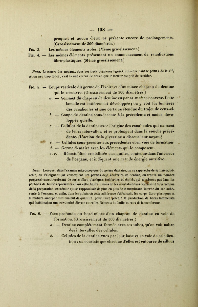 proque, et aucun d’eux ne présente encore de prolongements. (Grossissement de 300 diamètres.) Fig. 3. — Les mêmes éléments isolés. (Même grossissement.) Fig. 4. — Les mêmes éléments présentant un commencement de ramifications fibro-plastiques. (Même grossissement.) Nota. Le centre des noyaux, dans ces trois dernières figures, ainsi que dans le point i de la lre, est un peu trop foncé ; c’est là une erreur de dessin que le lecteur est prié de rectifier. Fig. 5. — Coupe verticale du germe de l’ivoire et d’un mince chapeau de denline qui le recouvre. (Grossissement de 300 diamètres.) a. — Sommet du chapeau de denline vu par sa surface convexe. Celte lamelle est entièrement développée; ou y voit les lumières des canalicules et une certaine étendue du trajet de ceux-ci. b. — Coupe de denline sous-jacente à la précédente et moins déve- loppée qu’elle. c. — Cellules delà denline avec l’origine des canalicules qui naissent de leurs intervalles, et se prolongent dans la couche précé- dente. (L’action de la glycérine a dissous leur noyau.) *** c. — Cellules sous-jacentes aux précédentes et en voie de formation. </. — Germe dentaire avec les éléments qui le composent. e, e. — Hémaloïdine cristallisée en aiguilles, contenue dans l’intérieur de l’organe, et indiquant une grande énergie nutritive. Nota. Lorsque, dans l’examen microscopique du germe dentaire, on se rapproche de sa base adhé- rente, en s’éloignant par conséquent des parties déjà couvertes de dentine, on trouve un nombre progressivement croissant de corps fibro-p'astiques fusiformes ou étoilés, qui n’existent pas dans les portions de bulbe représentées dans cette figure ; mais on les constatait dans l’exTPéinité interrompue de la préparation, extrémité qui se rapprochait de plus en plus de la membrane interne du sac adhé- rente à l’organe, et enfin, dans les points où cette adhérence s’effectuait, les corps fibro-plastiques et la matière amorphe diminuaient de quantité, pour faire place à la production de fibres lamineuses qui établissaient une continuité directe entre les éléments du bulbe et ceux de la membrane. Fie. 6. — Face profonde du hord mince d’un chapeau de denline en voie de formation. (Grossissement de 500 diamètres.) a. — Dentine complètement formée avec ses tubes,qu’on voit naître des intervalles des cellules. b. — Cellules de la denline vues par leur hase et en voie de calcifica- tion ; on constate que chacune d’elles est entourée de sillons