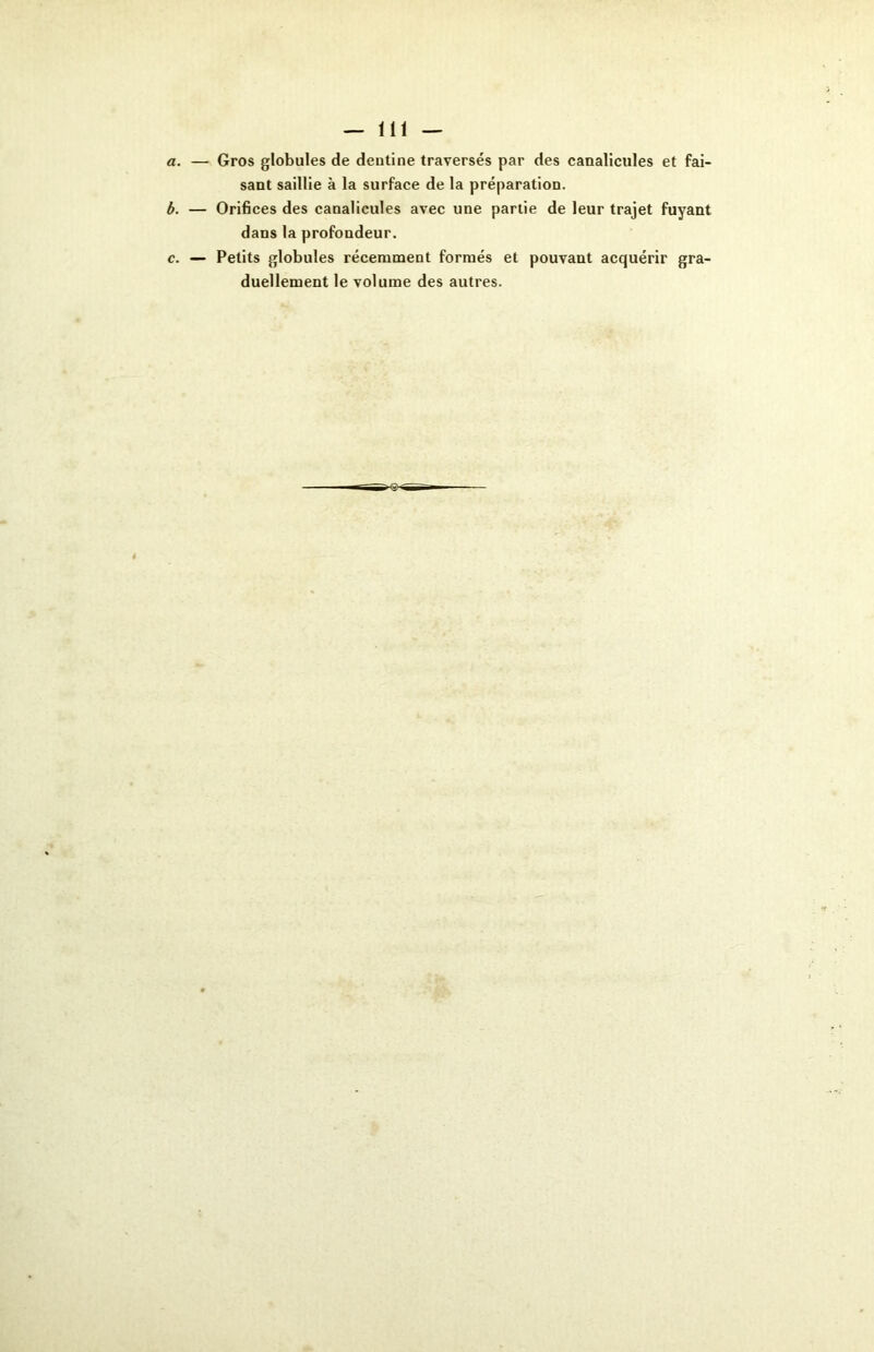 — 111 — a. — Gros globules de dcntine traversés par des canalicules et fai- sant saillie à la surface de la préparation. b. — Orifices des canalicules avec une partie de leur trajet fuyant dans la profondeur. c. — Petits globules récemment formés et pouvant acquérir gra- duellement le volume des autres.