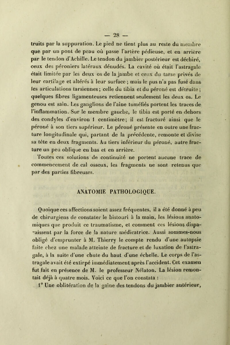 truits par la suppuration. Le pied ne tient plus au reste du membre que par un pont de peau où passe l’artère pédieuse, et en arrière par le tendon d’Achille. Le tendon du jambier postérieur est déchiré, ceux des péroniers latéraux dénudés. La cavité où était l’astragale était limitée par les deux os de la jambe et ceux du tarse privés de leur cartilage et altérés à leur surface ; mais le pus n’a pas fusé dans tes articulations tarsiennes; celle du tibia et du péroné est détruite; quelques fibres ligamenteuses retiennent seulement les deux os. Le genou est sain. Les ganglions de l’aine tuméliés portent les traces de l’inflammation. Sur le membre gauche, le tibia est porté en dehors des condyles d’environ 1 centimètre; il est fracturé ainsi que le péroné à son tiers supérieur. Le péroné présente en outre une frac- ture longitudinale qui, partant de la précédente, remonte et divise sa tête en deux fragments. Au tiers inférieur du péroné, autre frac- ture un peu oblique en bas et en arrière. Toutes ces solutions de continuité ne portent aucune trace de commencement de cal osseux, les fragments ne sont retenus que par des parties fibreuses. ANATOMIE PATHOLOGIQUE. Quoique ces affections soient assez fréquentes, il a été donné à peu de chirurgiens de constater le bistouri à la main, les lésions anato- miques que produit ce traumatisme, et comment ces lésions dispa- raissent par la force de la nature médicatrice. Aussi sommes-nous obligé d’emprunter à M. Thierry le compte rendu d’une autopsie faite chez une malade atteinte de fracture et de luxation de l’astra- gale, à la suite d’une chute du haut d’une échelle. Le corps de l’as- tragale avait été extirpé immédiatement après l’accident. Cet examen fut fait en présence de M. le professeur Nélaton. La lésion remon- tait déjà à quatre mois. Voici ce que l’on constata : 1° Une oblitération de la gaine des tendons du jambier antérieur,