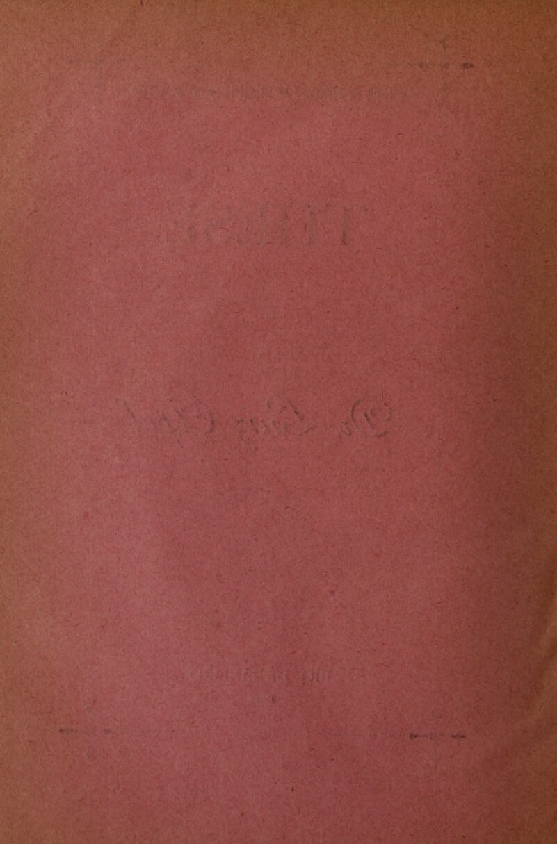 V fijc ' ^ •■ t*' , ^ ■. ' ;■ - >-V’. >? • ’ > .'■ -./ :', V