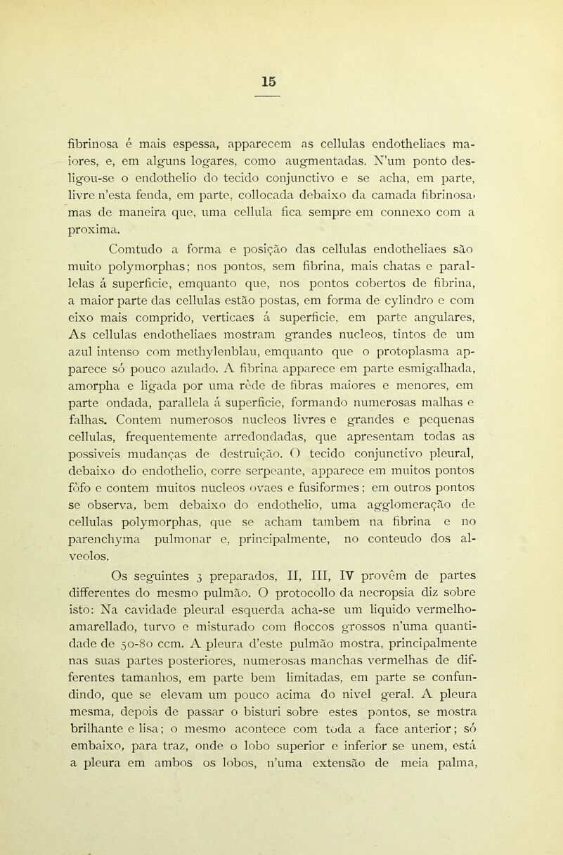 fibrinosa é mais espessa, apparecem as cellulas endotheliaes ma- iores, e, em alguns logares, como augmentadas. N’um ponto des- ligou-se o endothelio do tecido conjunctivo e se acha, em parte, livre n’esta fenda, em parte, collocada debaixo da camada fibrinosa» mas de maneira que, uma cellula fica sempre em connexo com a próxima. Comtudo a forma e posição das cellulas endotheliaes são muito polymorphas; nos pontos, sem fibrina, mais chatas e paral- lelas á superfície, emquanto que, nos pontos cobertos de fibrina, a maior parte das cellulas estão postas, em forma de cylindro e com eixo mais comprido, verticaes á superfície, em parte angulares, As cellulas endotheliaes mostram grandes núcleos, tintos de um azul intenso com methylenblau, emquanto que o protoplasma ap- parece só pouco azulado. A fibrina apparece em parte esmigalhada, amorpha e ligada por uma rède de fibras maiores e menores, em parte ondada, parallela á superfície, formando numerosas malhas e falhas. Contem numerosos núcleos livres e grandes e pequenas cellulas, frequentemente arredondadas, que apresentam todas as possiveis mudanças de destruição. O tecido conjunctivo pleural, debaixo do endothelio, corre serpeante, apparece em muitos pontos fòfo e contem muitos núcleos ovaes e fusiformes; em outros pontos se observa, bem debaixo do endothelio, uma agglomeração de cellulas polymorphas, que se acham também na fibrina e no parenchyma pulmonar e, principalraente, no conteúdo dos al- véolos. Os seguintes 3 preparados, II, III, IV provêm de partes differentes do mesmo pulmão. O protocollo da necropsia diz sobre isto: Na cavidade pleural esquerda acha-se um liquido vermelho- amarellado, turvo e misturado com floccos grossos n’uma quanti- dade de 50-80 ccm. A pleura d’este pulmão mostra, principalmente nas suas partes posteriores, numerosas manchas vermelhas de dif- ferentes tamanhos, em parte bem limitadas, em parte se confun- dindo, que se elevam um pouco acima do nivel geral. A pleura mesma, depois de passar o bisturi sobre estes pontos, se mostra brilhante e lisa; o mesmo acontece com toda a face anterior; só embaixo, para traz, onde o lobo superior e inferior se unem, está a pleura em ambos os lobos, n’uma extensão de meia palma.