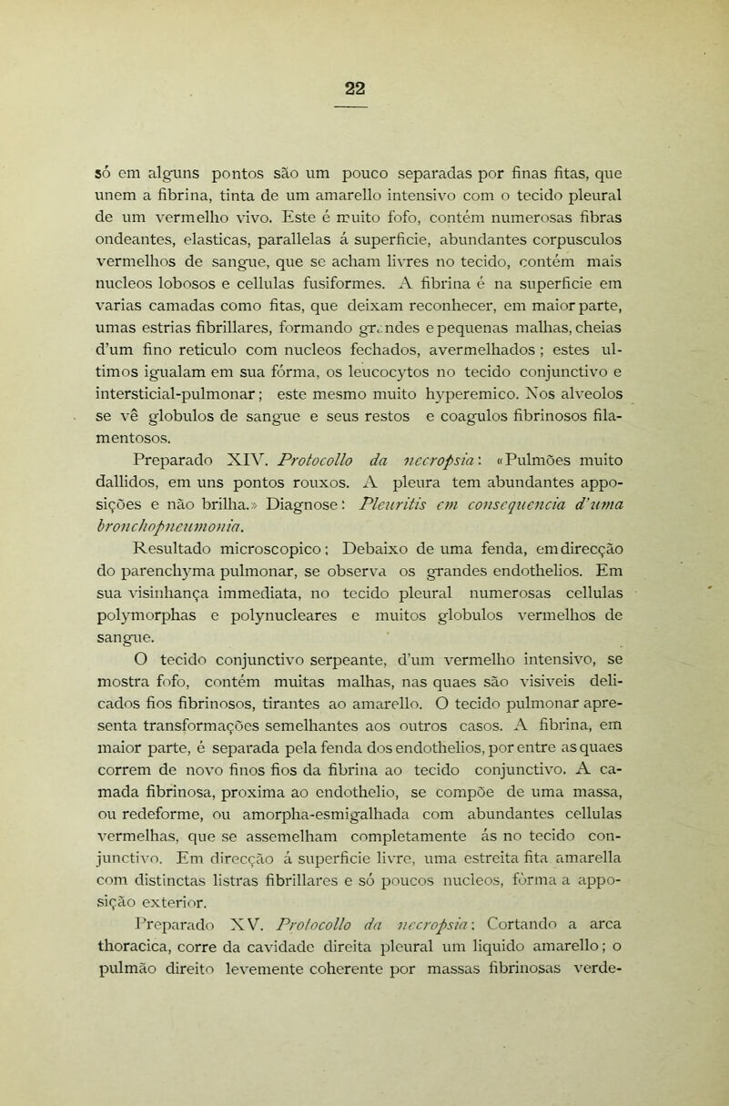 só em algams pontos são um pouco separadas por finas fitas, que unem a fibrina, tinta de um amarello intensivo com o tecido pleural de um vermelho vivo. Este é muito fofo, contém numerosas fibras ondeantes, elasticas, parallelas á superficie, abundantes corpúsculos vermelhos de sangue, que se acham livres no tecido, contém mais núcleos lobosos e cellulas fusiformes. A fibrina é na superficie em varias camadas como fitas, que deixam reconhecer, em maior parte, umas estrias fibrillares, formando gTtmdes e pequenas malhas, cheias d’um fino retículo com núcleos fechados, avermelhados ; estes úl- timos igualam em sua fórma, os leucocytos no tecido conjunctivo e intersticial-pulmonar; este mesmo muito hyperemico. Xos alvéolos se vê globulos de sangue e seus restos e coágulos fibrinosos fila- mentosos. Preparado XIV. Protocollo da necropsia'. «Pulmões muito dallidos, em uns pontos rouxos. A pleura tem abundantes appo- sições e não brilha.» Diagnose: Plcziritis cm consequência d’tima bronchopneumonia. Resultado microscopico; Debaixo de uma fenda, em direcção do parenchyma pulmonar, se observa os gi'andes endothelios. Em sua visinhança immediata, no tecido pleural numerosas cellulas polymorphas e polynucleares e muitos globulos vermelhos de sangue. O tecido conjunctivo serpeante, d’um vermelho intensivo, se mostra fofo, contém muitas malhas, nas quaes são visiveis deli- cados fios fibrinosos, tirantes ao amarello. O tecido pulmonar apre- senta transformações semelhantes aos outros casos. A fibrina, em maior parte, é separada pela fenda dos endothelios, por entre as quaes correm de novo finos fios da fibrina ao tecido conjunctivo. A ca- mada fibrinosa, próxima ao endothelio, se compõe de uma massa, ou redeforme, ou amorpha-esmigalhada com abundantes cellulas vermelhas, que se assemelham completamente ás no tecido con- junctivo. Em direcção á superficie livre, uma estreita fita amarella com distinctas listras fibrillares e só poucos núcleos, fôrma a appo- sição exterior. Preparado XV. Protocollo da necropsia-. Cortando a arca thoracica, corre da cavidade direita pleural um liquido amarello; o pulmão direito levemente coherente por massas fibrinosas verde-