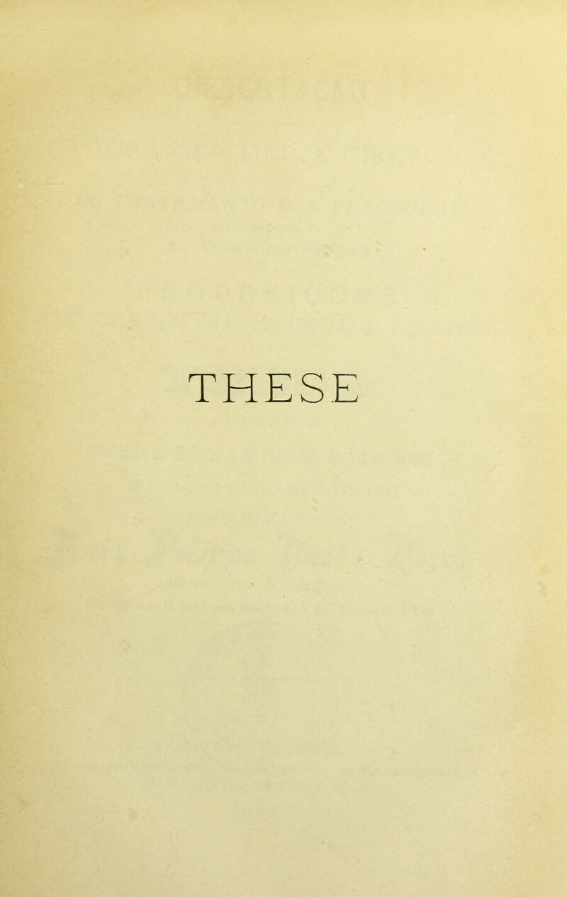THE SE