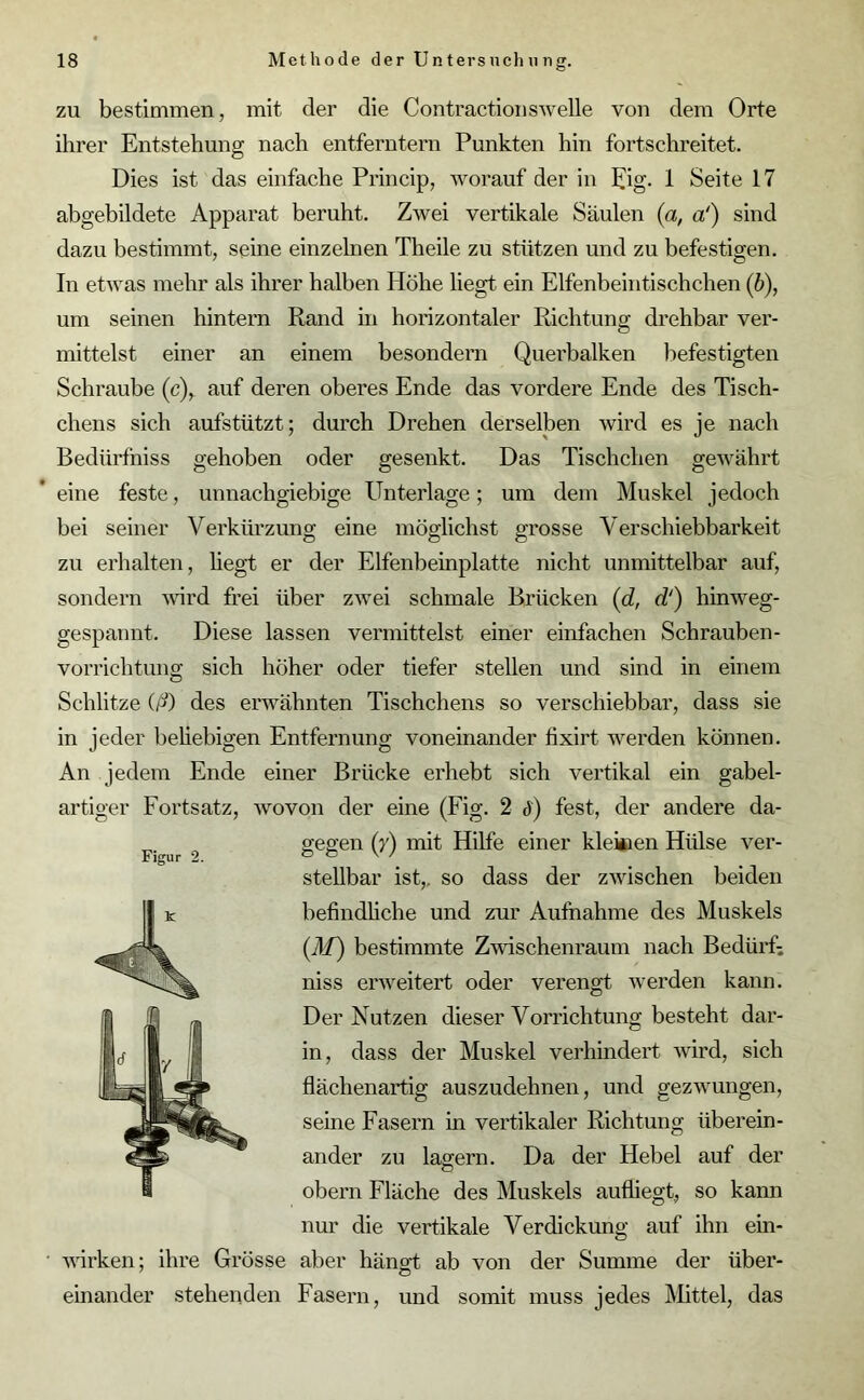 zu bestimmen, mit der die Contractionswelle von dem Orte ihrer Entstehung nach entferntem Punkten hin fortschreitet. Dies ist das einfache Princip, worauf der in Eig. 1 Seite 17 abgebildete Apparat beruht. Zwei vertikale Säulen (a, a') sind dazu bestimmt, seine einzelnen Theile zu stützen und zu befestigen. In etwas mehr als ihrer halben Höhe liegt, ein Elfenbeintischchen (b), um seinen hintern Rand in horizontaler Richtung drehbar ver- mittelst einer an einem besondern Querbalken befestigten Schraube (c), auf deren oberes Ende das vordere Ende des Tisch- chens sich aufstützt; durch Drehen derselben wird es je nach Bedürfniss gehoben oder gesenkt. Das Tischchen gewährt eine feste, unnachgiebige Unterlage; um dem Muskel jedoch bei seiner Verkürzung eine möglichst grosse Verschiebbarkeit zu erhalten, hegt er der Elfenbeinplatte nicht unmittelbar auf, sondern wird frei über zwei schmale Brücken (d, d‘) hinweg- gespaunt. Diese lassen vermittelst einer einfachen Schrauben- vorrichtung sich höher oder tiefer stellen und sind in einem Schlitze iß) des erwähnten Tischchens so verschiebbar, dass sie in jeder beliebigen Entfernung voneinander fixirt werden können. An jedem Ende einer Brücke erhebt sich vertikal ein gabel- artiger Fortsatz, wovon der eine (Fig. 2 ä) fest, der andere da- gegen (>') mit Hilfe einer kleinen Hülse ver- stellbar ist,, so dass der zwischen beiden befindliche und zur Aufnahme des Muskels (TT) bestimmte Zwischenraum nach Bedürf- niss erweitert oder verengt werden kann. Der Nutzen dieser Vorrichtung besteht dar- in, dass der Muskel verhindert wird, sich flächenartig auszudehnen, und gezwungen, seine Fasern in vertikaler Richtung überein- ander zu lagern. Da der Hebel auf der obern Fläche des Muskels aufliegt, so kann nur die vertikale Verdickung auf ihn ein- wirken; ihre Grösse aber hängt ab von der Summe der über- einander stehenden Fasern, und somit muss jedes Mittel, das Figur 2.