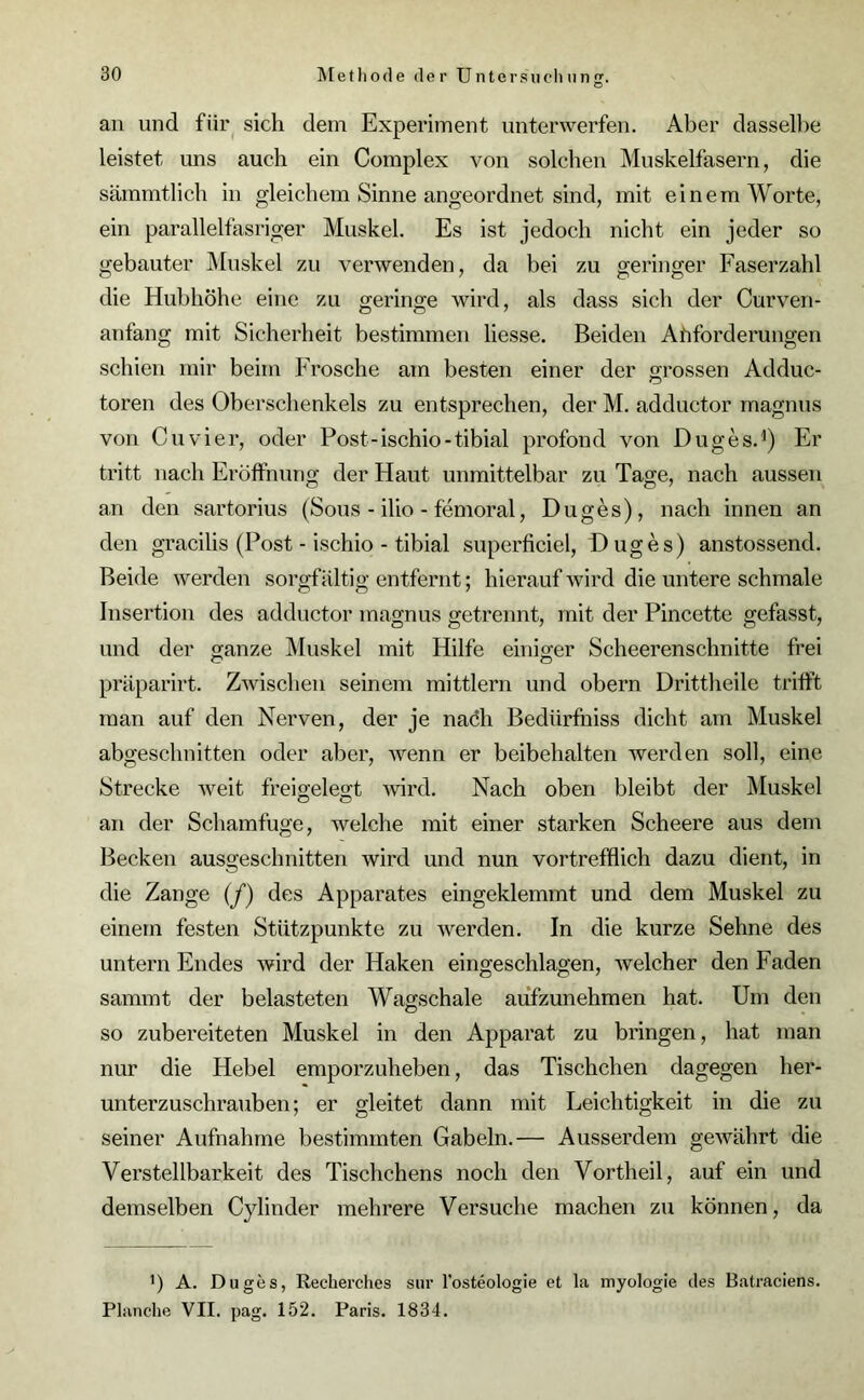 an und für sich dein Experiment unterwerfen. Aber dasselbe leistet uns auch ein Complex von solchen Muskelfasern, die sämmtlich in gleichem Sinne angeordnet sind, mit einem Worte, ein parallelfasriger Muskel. Es ist jedoch nicht ein jeder so gebauter Muskel zu verwenden, da bei zu geringer Faserzahl die Hubhöhe eine zu geringe wird, als dass sich der Curven- anfang mit Sicherheit bestimmen Hesse. Beiden Anforderungen schien mir beim Frosche am besten einer der grossen Adduc- toren des Oberschenkels zu entsprechen, der M. adductor magnus von Cu vier, oder Post-ischio-tibial profond von Duges.1) Er tritt nach Eröffnung der Haut unmittelbar zu Tage, nach aussen an den sartorius (Sous - ilio - femoral, Duges), nach innen an den gracilis (Post - ischio - tibial superficicl, Duges) anstossend. Beide werden sorgfältig entfernt; hierauf wird die untere schmale Insertion des adductor magnus getrennt, mit der Pincette gefasst, und der ganze Muskel mit Hilfe einiger Scheerenschnitte frei präparirt. Zwischen seinem mittlern und obern Drittheile trifft man auf den Nerven, der je nach Bediirfniss dicht am Muskel abgeschnitten oder aber, wenn er beibehalten werden soll, eine Strecke weit freigelegt wird. Nach oben bleibt der Muskel an der Schamfuge, welche mit einer starken Scheere aus dem Becken ausgeschnitten wird und nun vortrefflich dazu dient, in die Zange (f) des Apparates eingeklemmt und dem Muskel zu einem festen Stützpunkte zu werden. In die kurze Sehne des untern Endes wird der Haken eingeschlagen, welcher den Faden sammt der belasteten Wagschale aufzunehmen hat. Um den so zubereiteten Muskel in den Apparat zu bringen, hat man nur die Hebel emporzuheben, das Tischchen dagegen her- unterzuschrauben; er gleitet dann mit Leichtigkeit in die zu seiner Aufnahme bestimmten Gabeln.— Ausserdem gewährt die Verstellbarkeit des Tischchens noch den Vortheil, auf ein und demselben Cylinder mehrere Versuche machen zu können, da ') A. Duges, Recherches sur l’osteologie et la myologie des Batraciens. Planche VII. pag. 152. Paris. 1834.