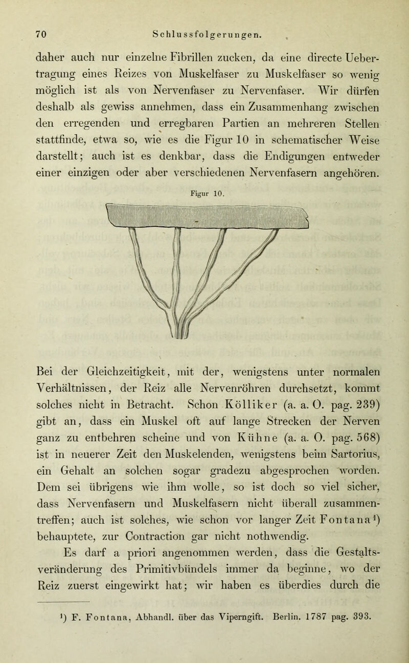 daher auch nur einzelne Fibrillen zucken, da eine directe Ueber- tragung eines Reizes von Muskelfaser zu Muskelfaser so wenig möglich ist als von Nervenfaser zu Nervenfaser. Wir dürfen deshalb als gewiss annehmen, dass ein Zusammenhang zwischen den erregenden und erregbaren Partien an mehreren Stellen stattfinde, etwa so, wie es die Figur 10 in schematischer Weise darstellt; auch ist es denkbar, dass die Endigungen entweder einer einzigen oder aber verschiedenen Nervenfasern angehören. Figur 10. Bei der Gleichzeitigkeit, mit der, wenigstens unter normalen Verhältnissen, der Reiz alle Nervenröhren durchsetzt, kommt solches nicht in Betracht. Schon Kölliker (a. a. 0. pag. 239) gibt an, dass ein Muskel oft auf lange Strecken der Nerven ganz zu entbehren scheine und von Kühne (a. a. 0. pag. 568) ist in neuerer Zeit den Muskelenden, wenigstens beim Sartorius, ein Gehalt an solchen sogar gradezu abgesprochen worden. Dem sei übrigens wie ihm wolle, so ist doch so viel sicher, dass Nervenfasern und Muskelfasern nicht überall zusammen- treffen; auch ist solches, wie schon vor langer Zeit Fontana4) behauptete, zur Contraetiön gar nicht nothwendig. Es darf a priori angenommen werden, dass die Gestalts- veränderung des Primitivbündels immer da beginne, wo der Reiz zuerst eingewirkt hat; wir haben es überdies durch die !) F. Fontana, Abhandl. über das Viperngift. Berlin. 1787 pag. 393.